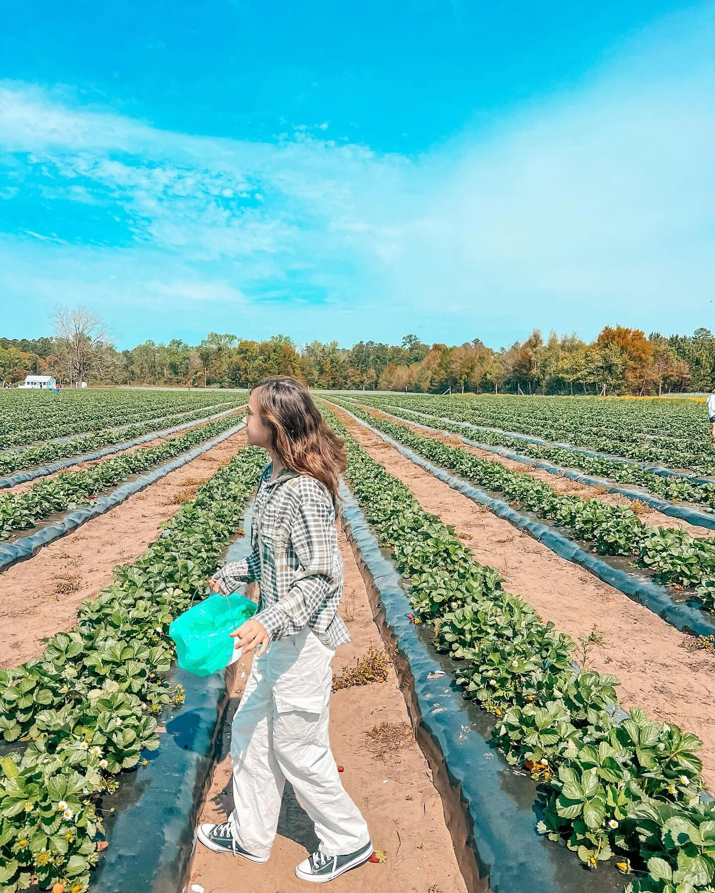 Making healthy lifestyle swaps doesn&rsquo;t need to be hard, complicated, or expensive&hellip; ⁣
⁣
One of my favorite things I work with my clients on is incorporating local produce and meat into their nutrition plan, especially this time of year 🌿