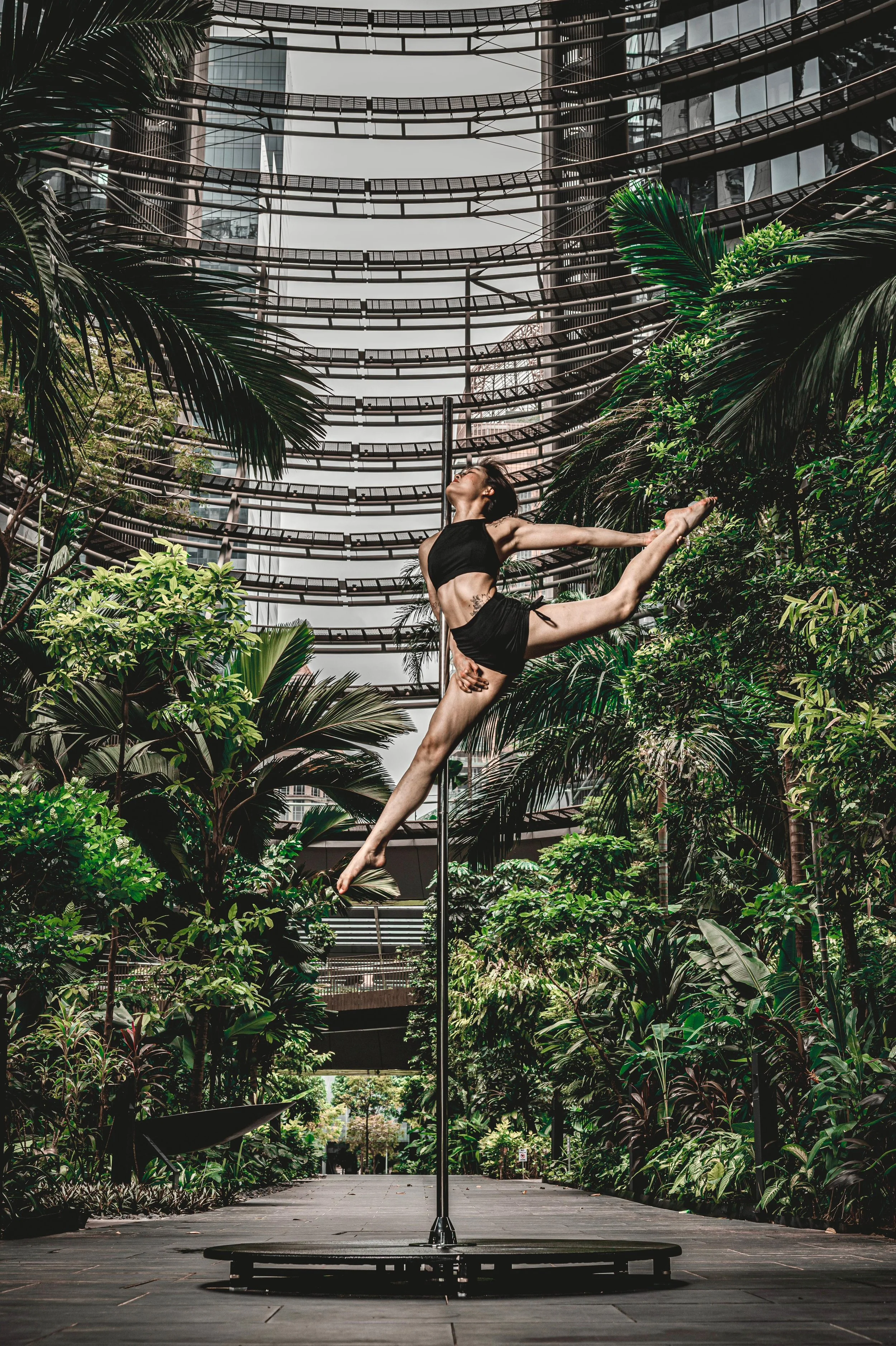 Cameranoire Le Jardin 2.JPG