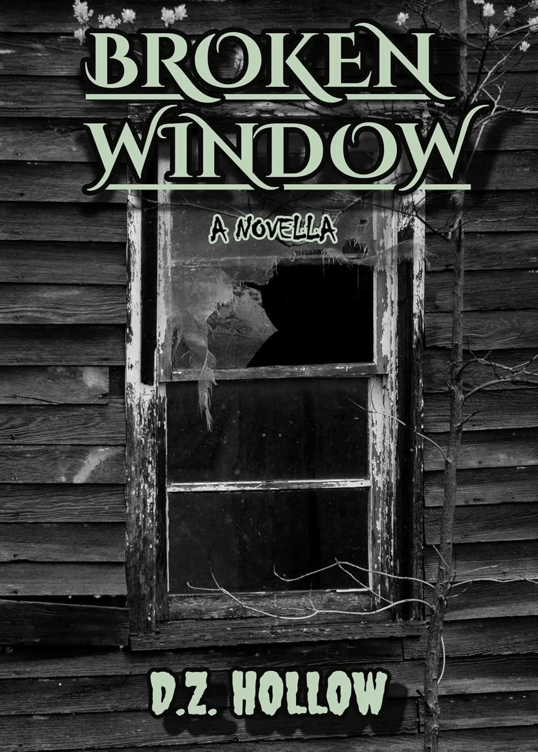 broken window.jpg