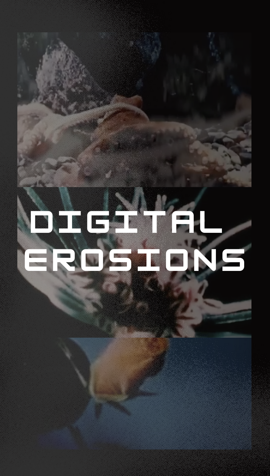 Digital Erosions (2023)