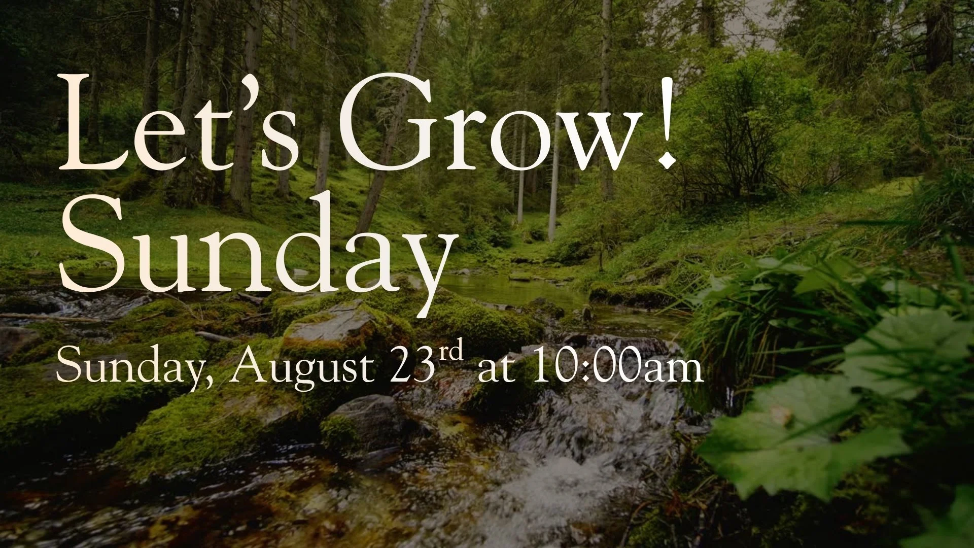 Let's Grow! Sunday