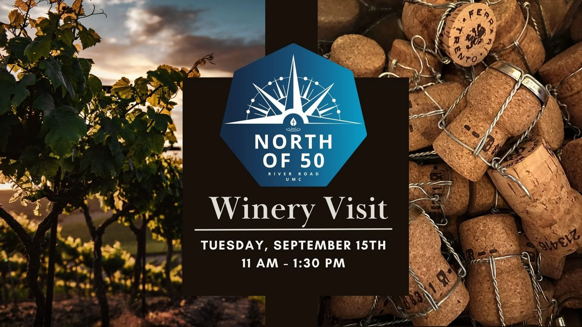North of 50 Winery Visit