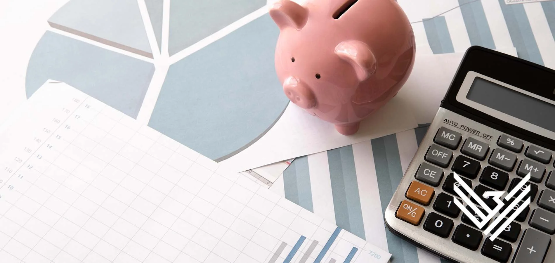 GUIDE TO GOVERNMENT LOANS