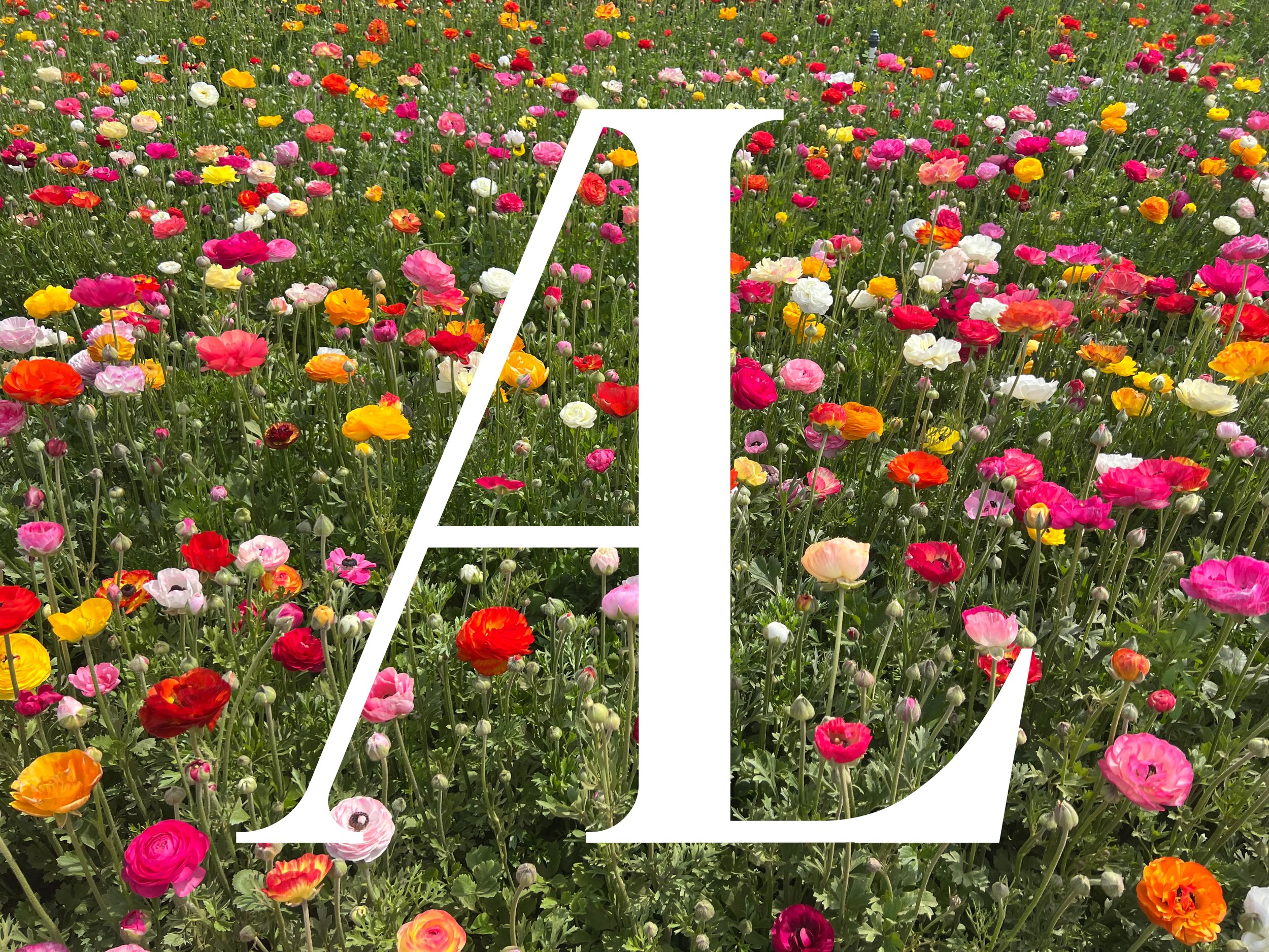 001:A Fresh Start