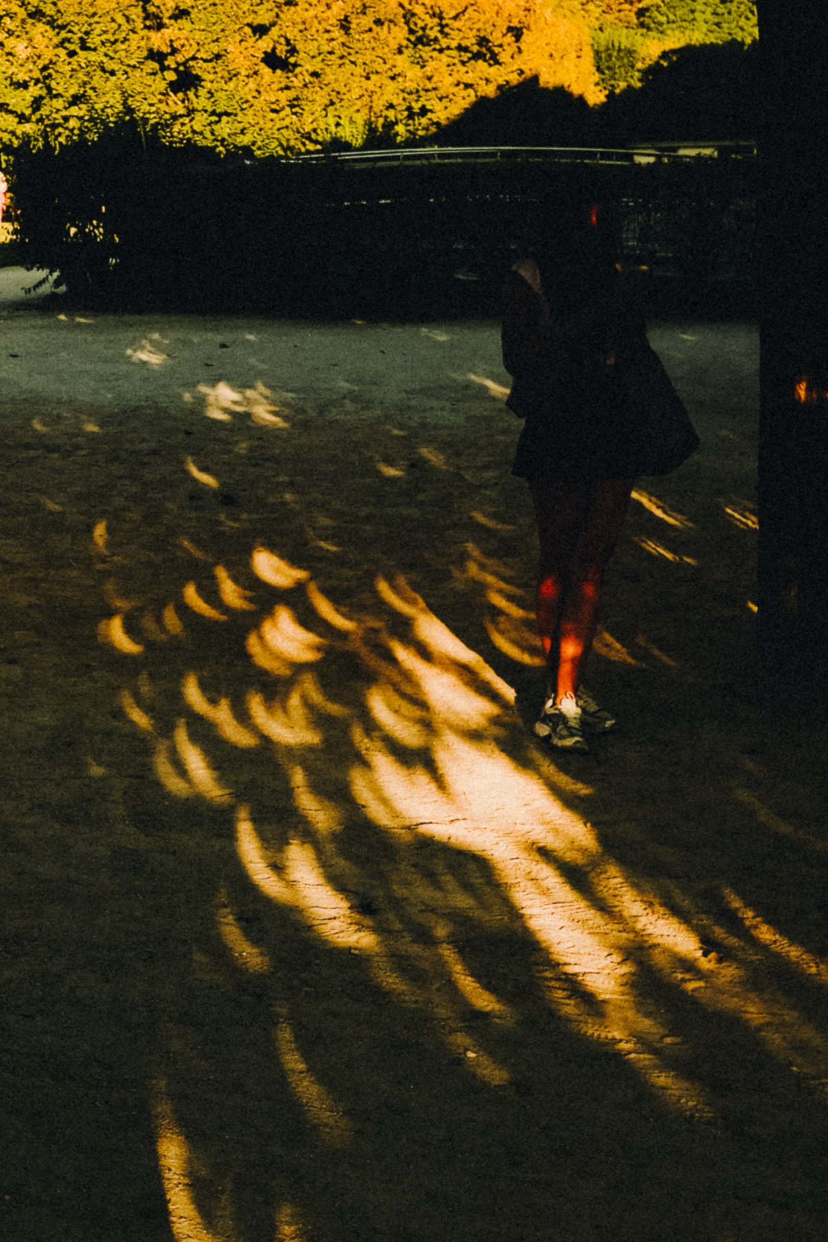 @prrbnt - Solar Eclipse-14.jpg