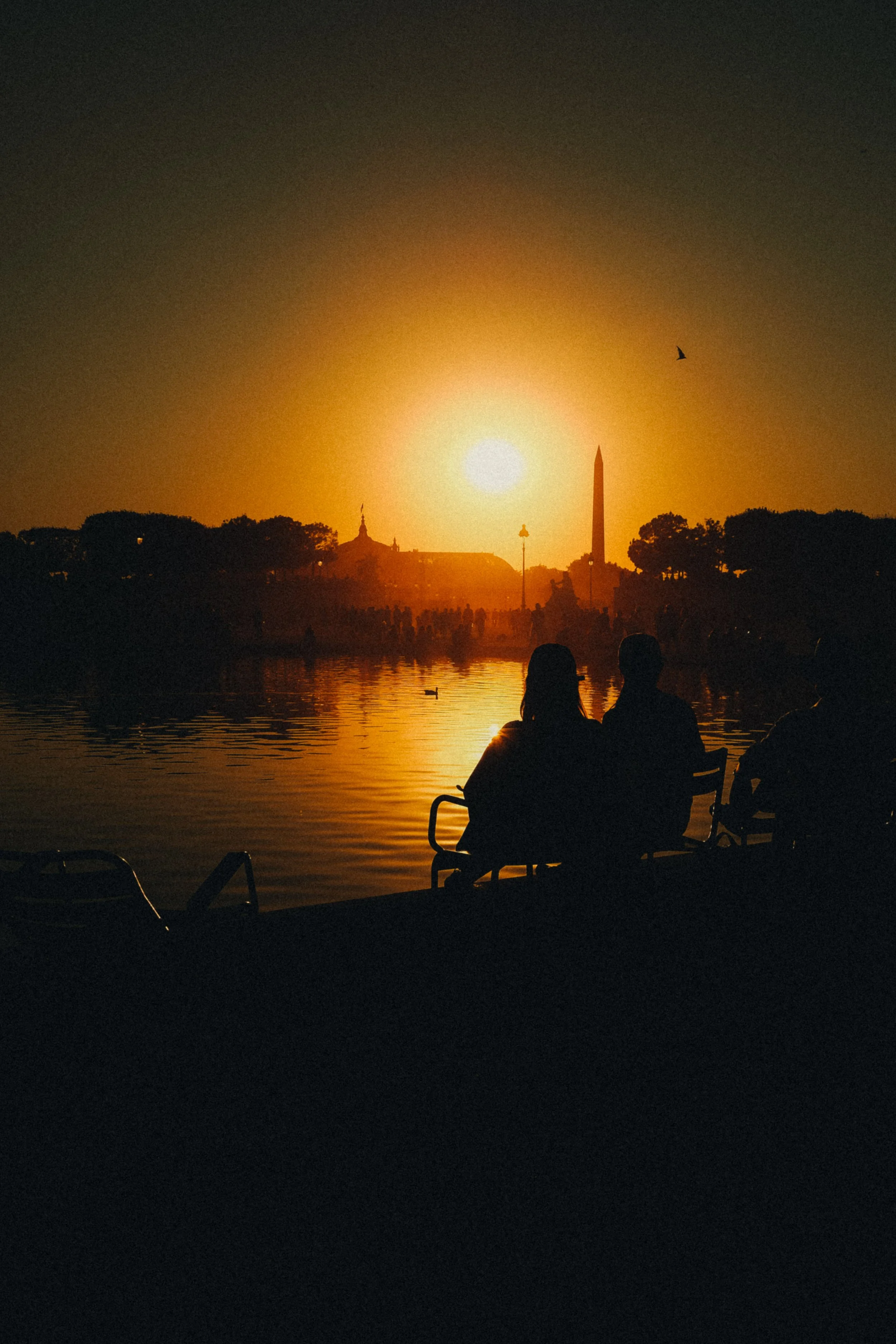 @prrbnt - Solar Eclipse-36.jpg
