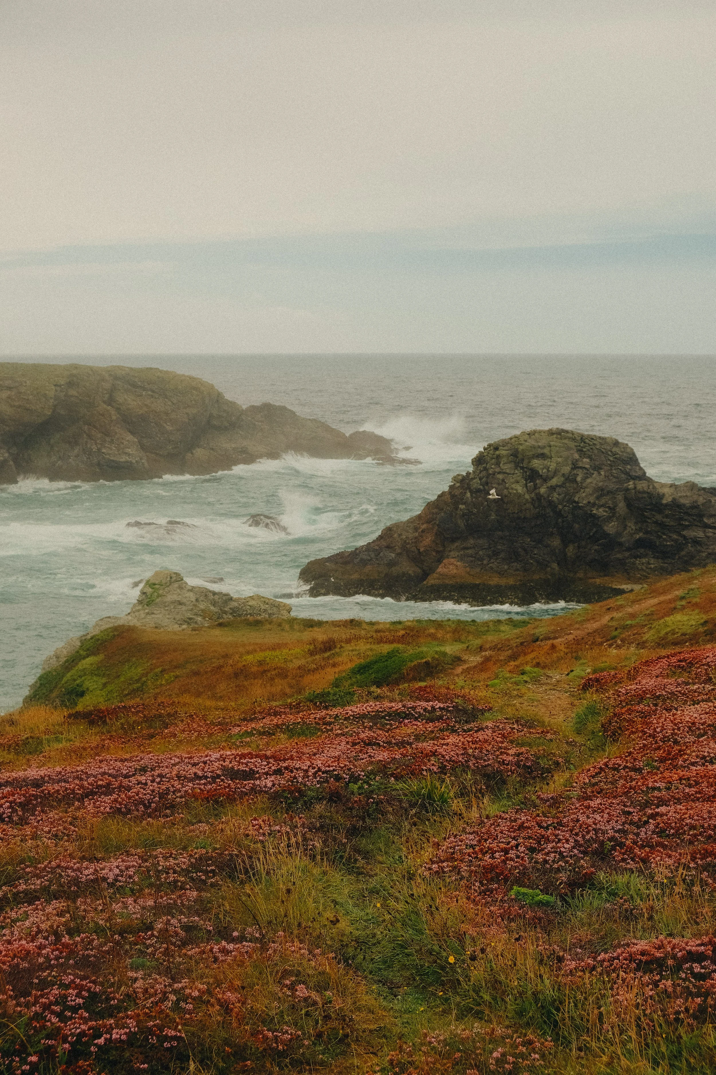 @prrbnt - Belle-Île-en-Mer-26.jpg