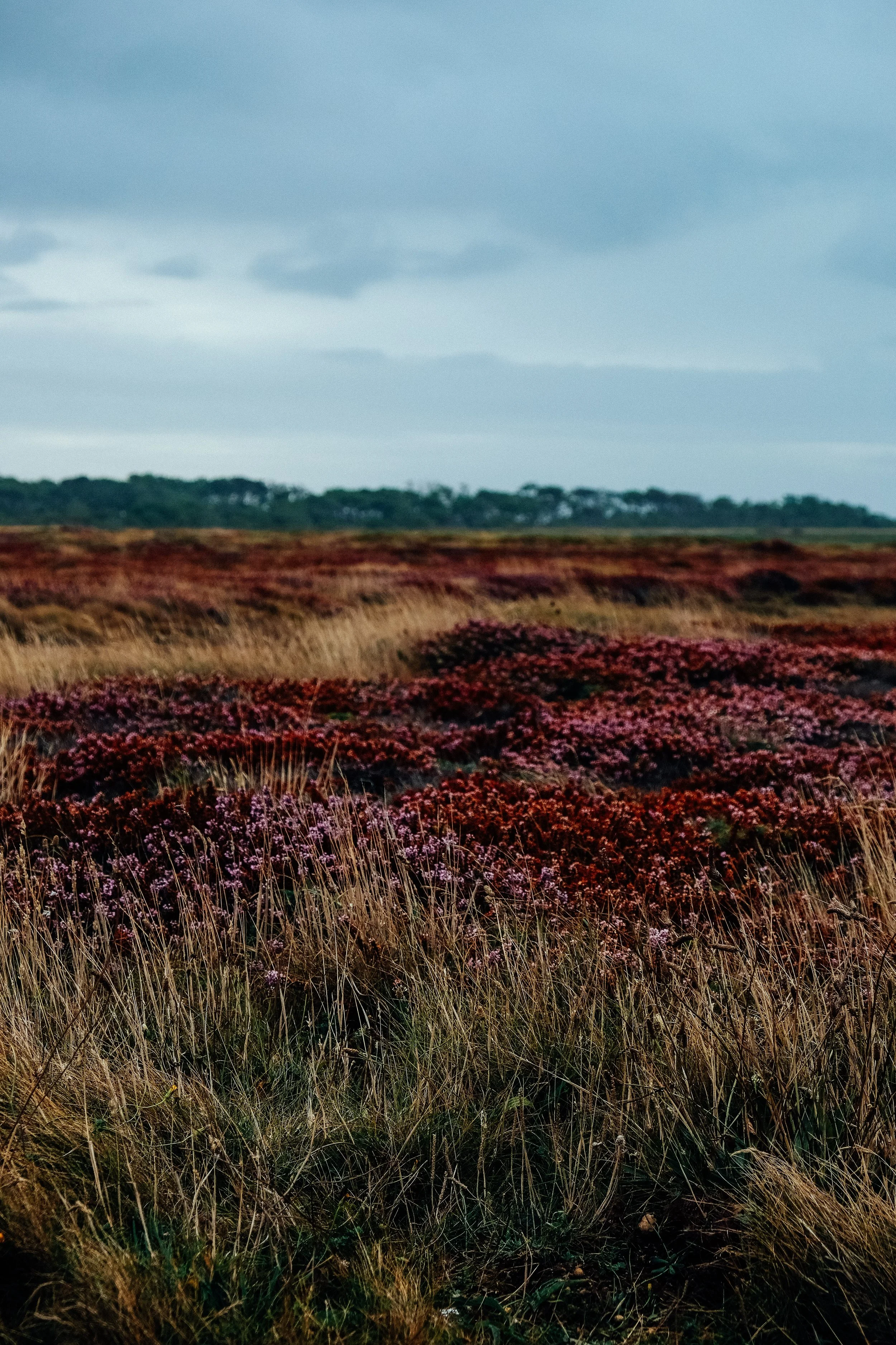 @prrbnt - Belle-Île-en-Mer-23.jpg