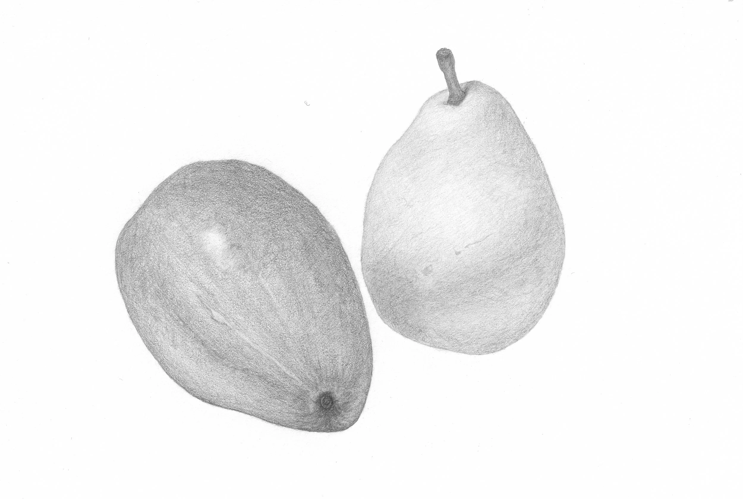 pair_pears_2026_20260313_0001.jpg