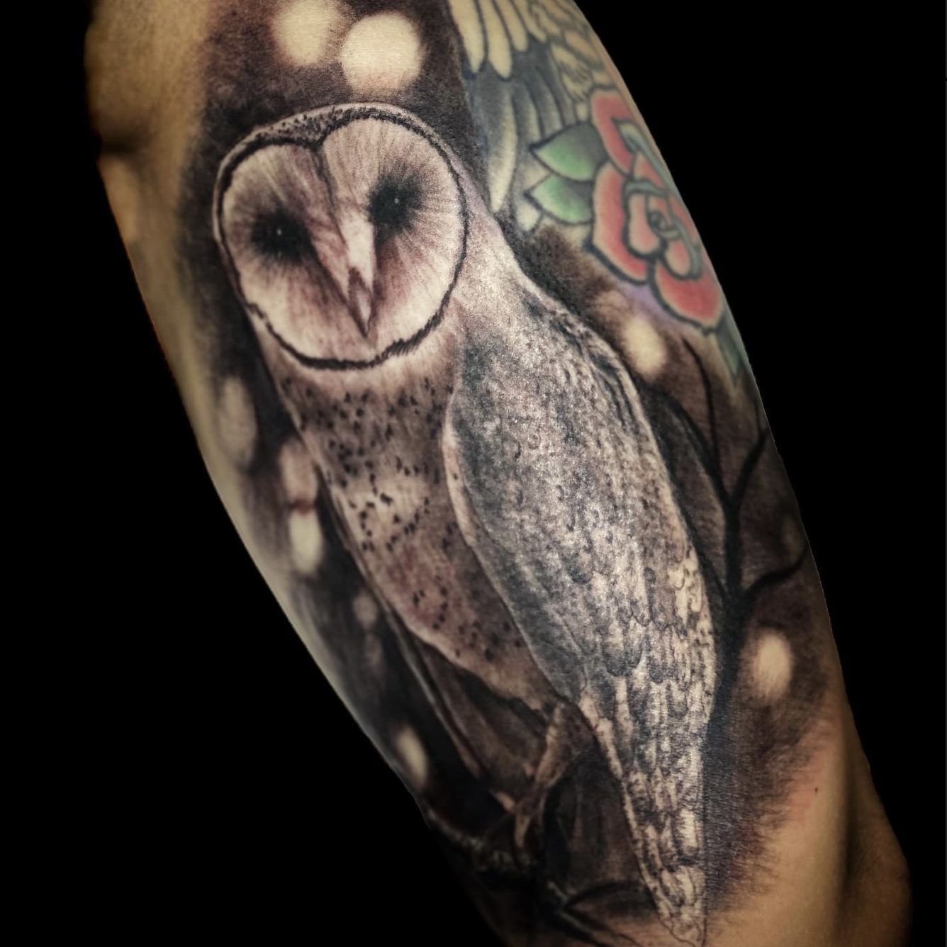 Screen Shot 2023-11-13 at 5.03.29 PM.png