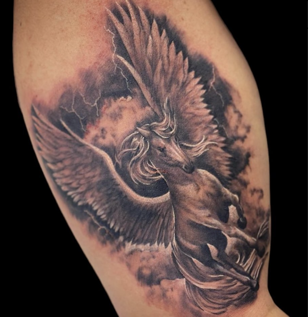 Screen Shot 2023-11-13 at 5.04.51 PM.png