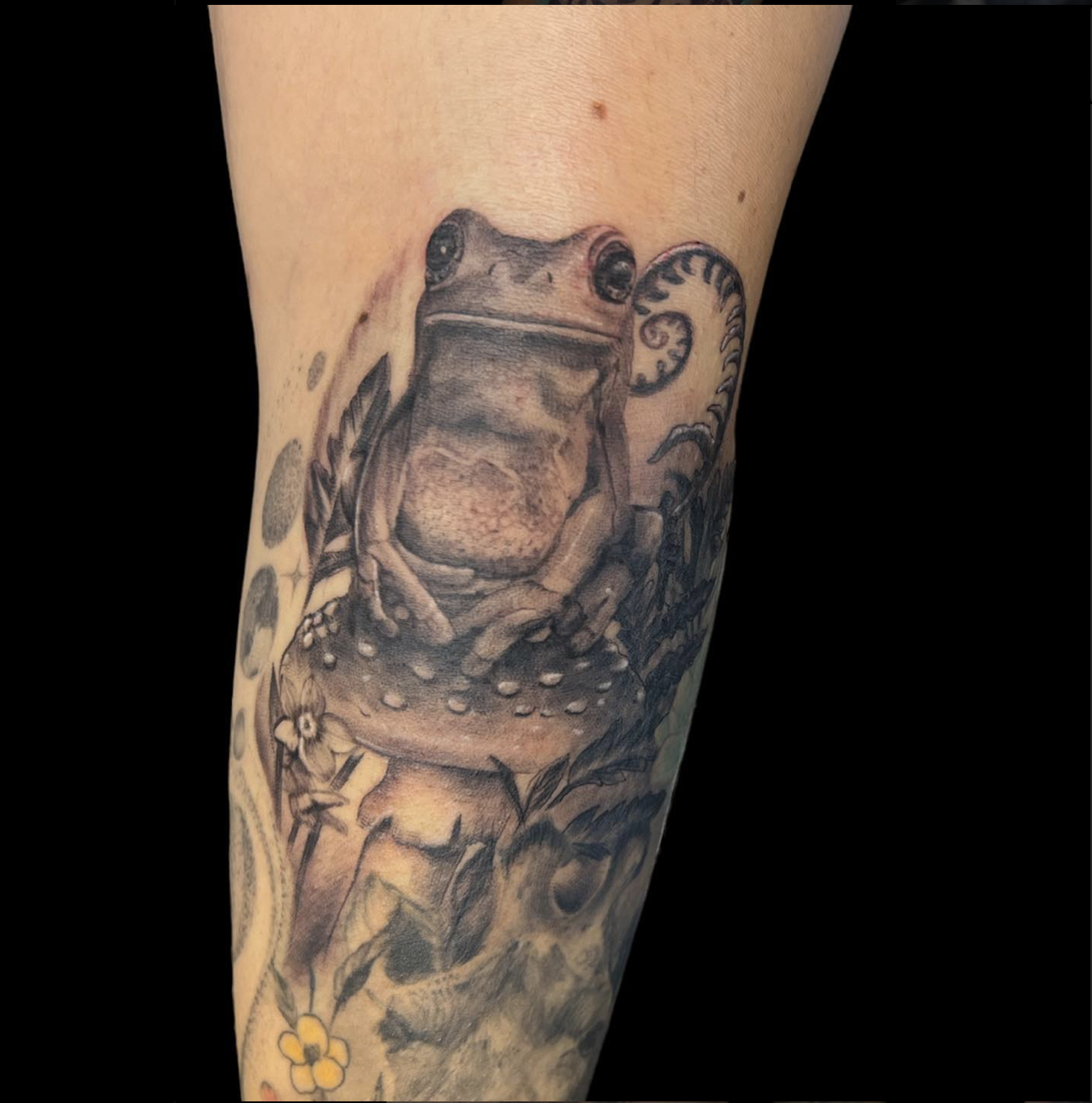 Screen Shot 2023-11-13 at 5.06.38 PM.png