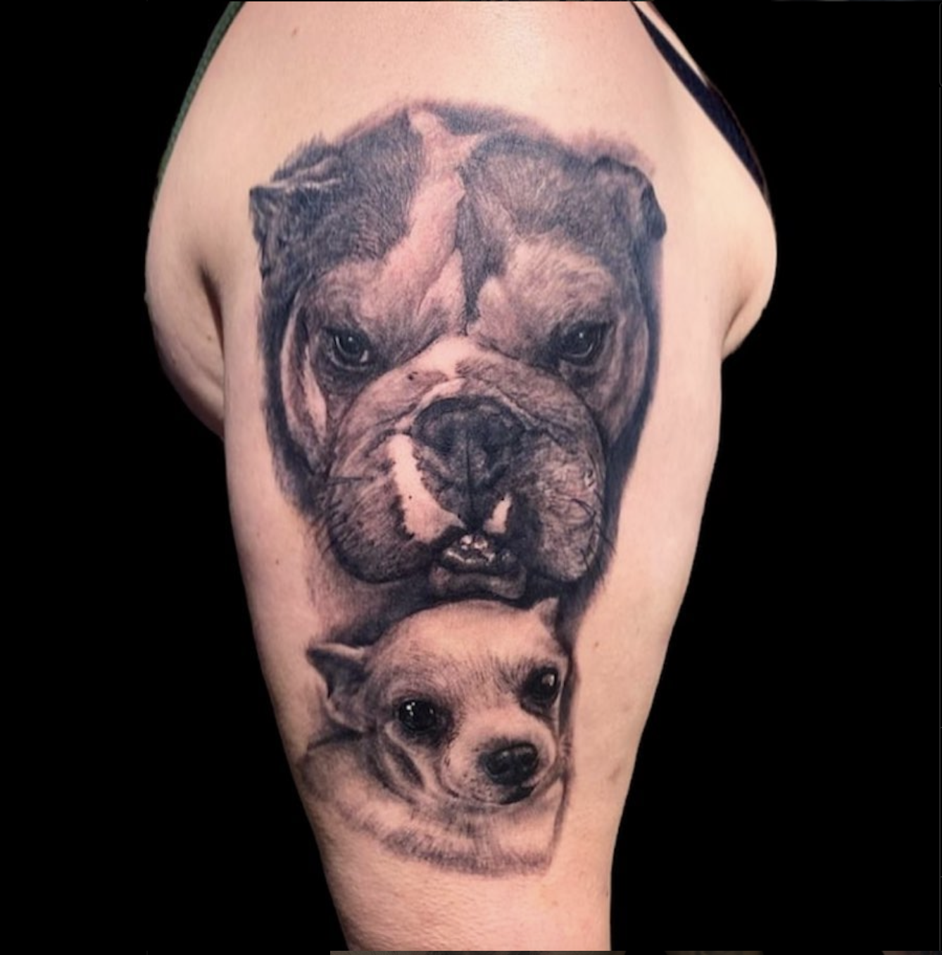 Screen Shot 2023-11-13 at 5.05.17 PM.png