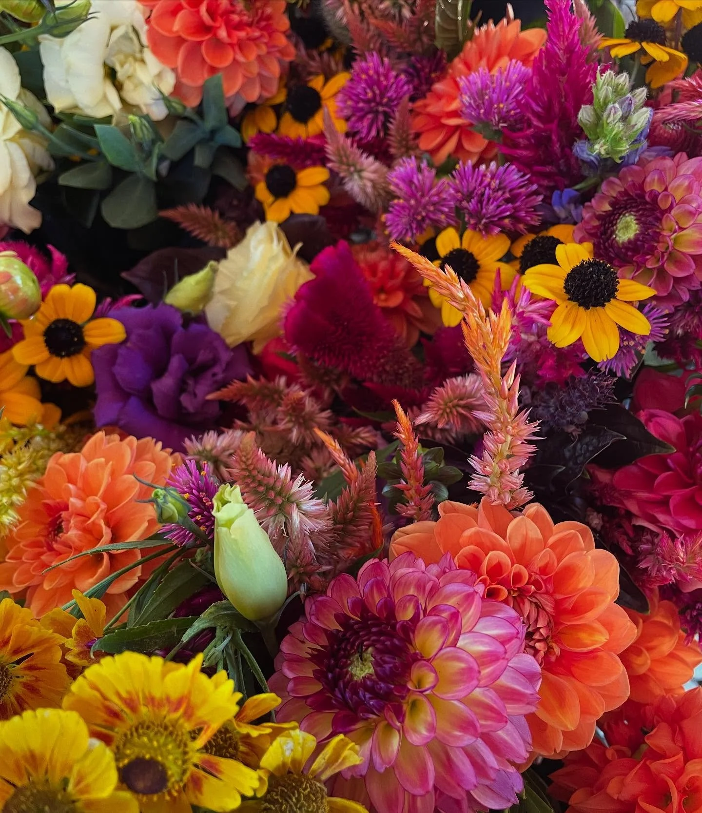 Neon summer

Flowers, peppers, potatoes, carrots, and plants coming to @durhamfarmersmarket tomorrow morning. It is my most fervent wish to see you there! 🌇