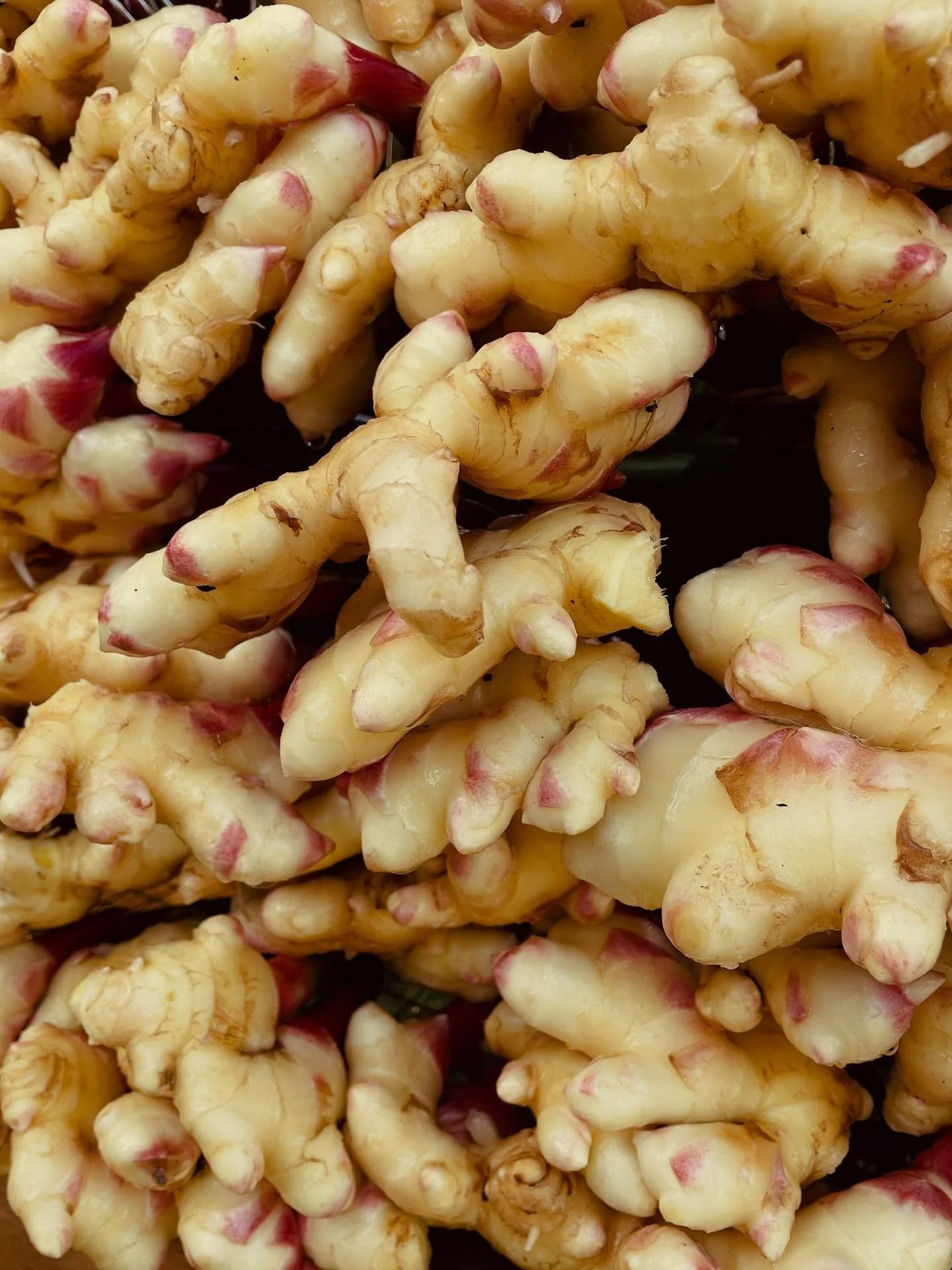Ginger for market @durhamfarmersmarket 
See you in the morning!