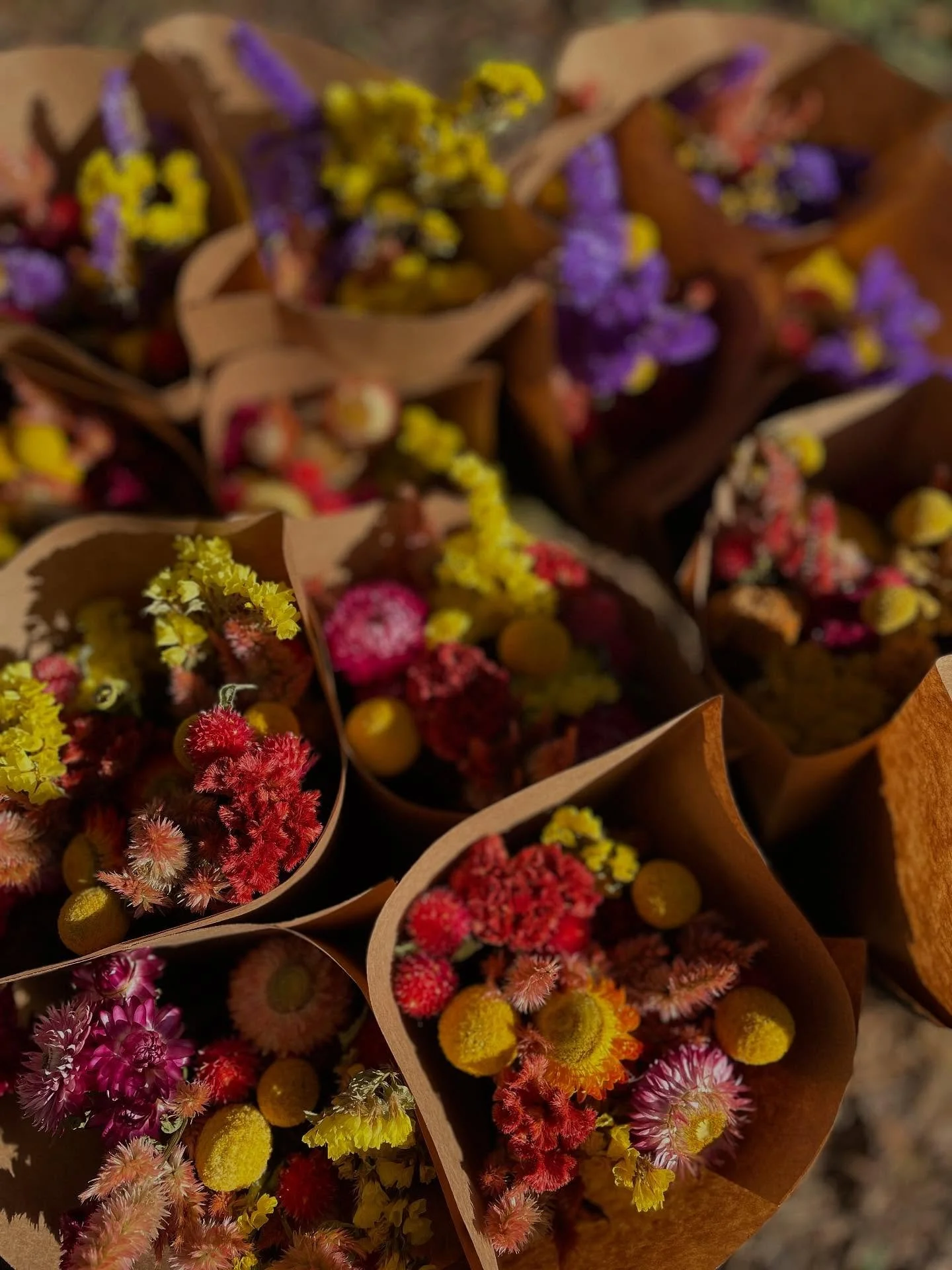 Dry bouquets for @durhamfarmersmarket 
Fresh bouquets as well!
More radicchio on the way
We dressed up last weekend 🦝
See you on Foster Street in the am!