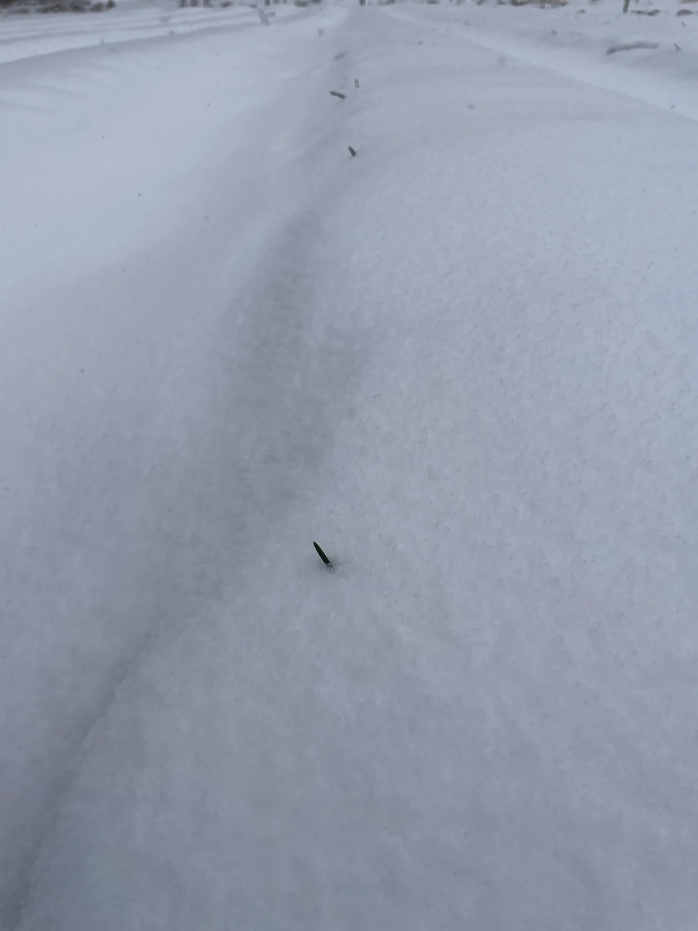 It is disgusting to see the cruel, racist, and misanthropic policies of our national government enacted with glee and cheered on by the heirs of the worst parts of our country&rsquo;s history. 
And it is heartening to see many Americans fighting back