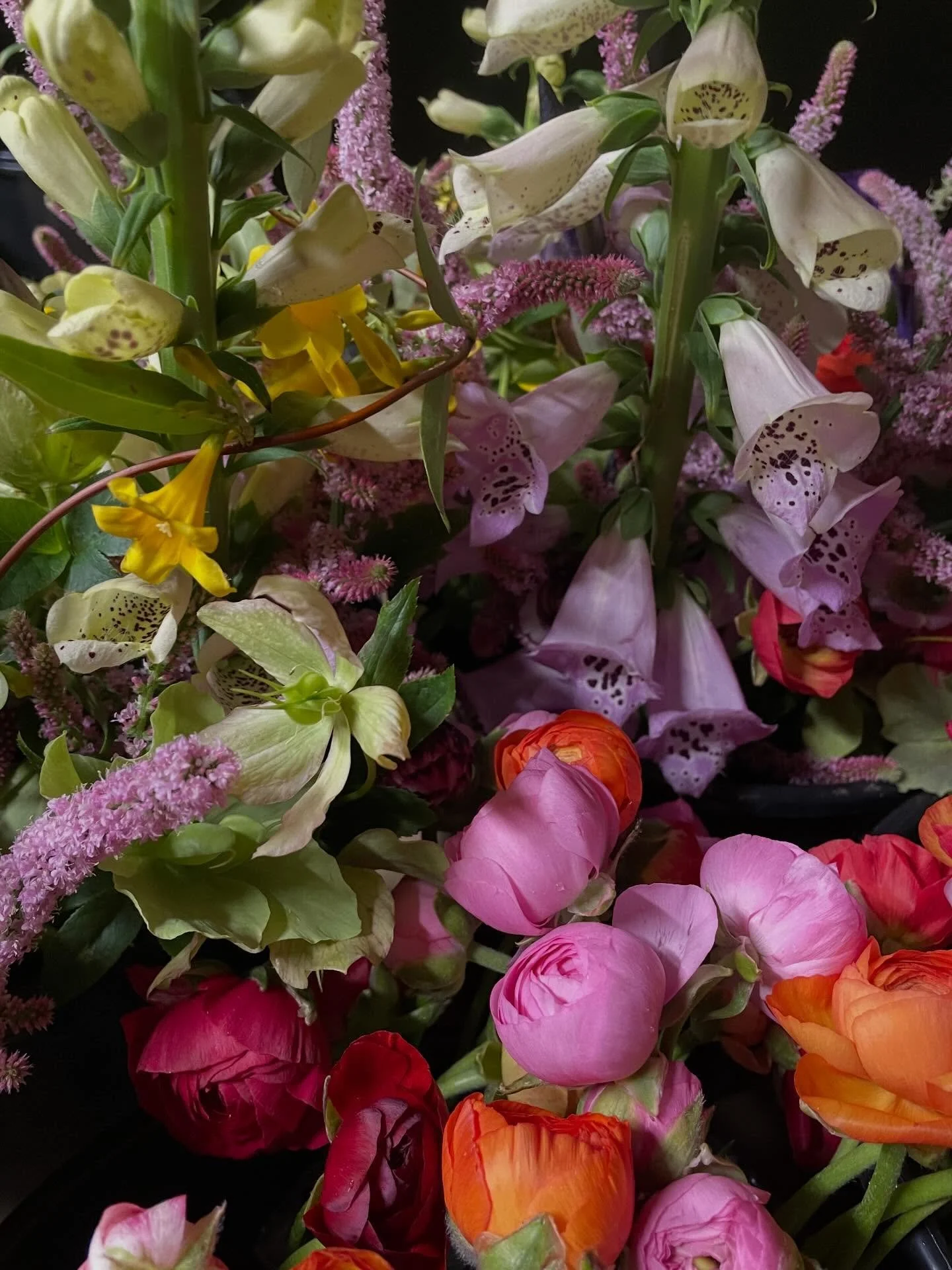 War is very stupid, our national government is really very horrible in so many ways. Maybe you can join a protest tomorrow.
There will be one in Durham tomorrow during/after the farmers&rsquo; market. Please come out for either or both purposes.

Her