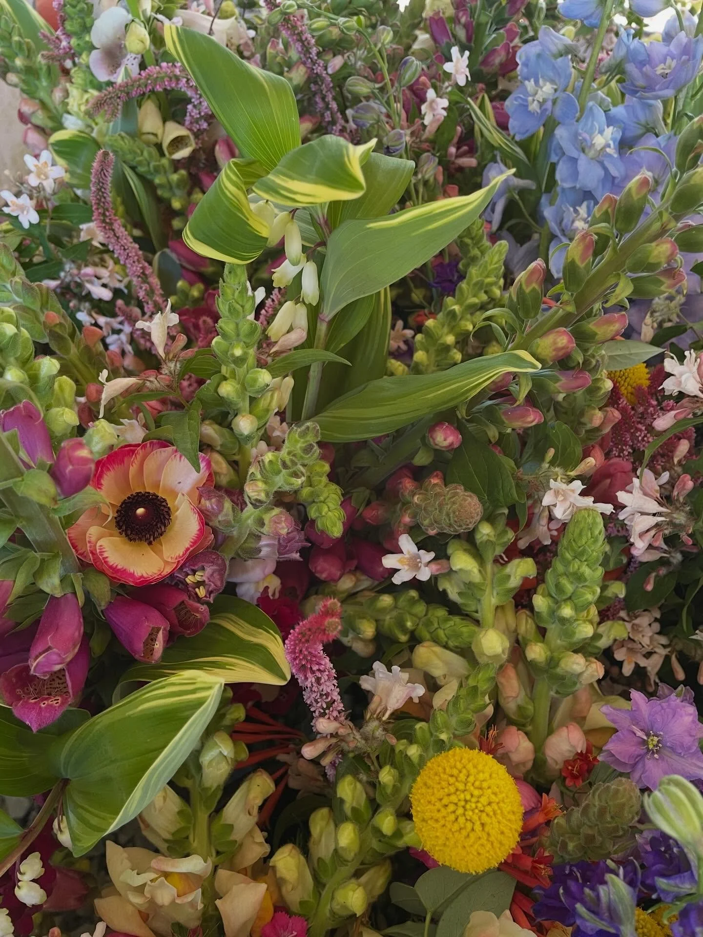 Coming to @durhamfarmersmarket tomorrow morning.