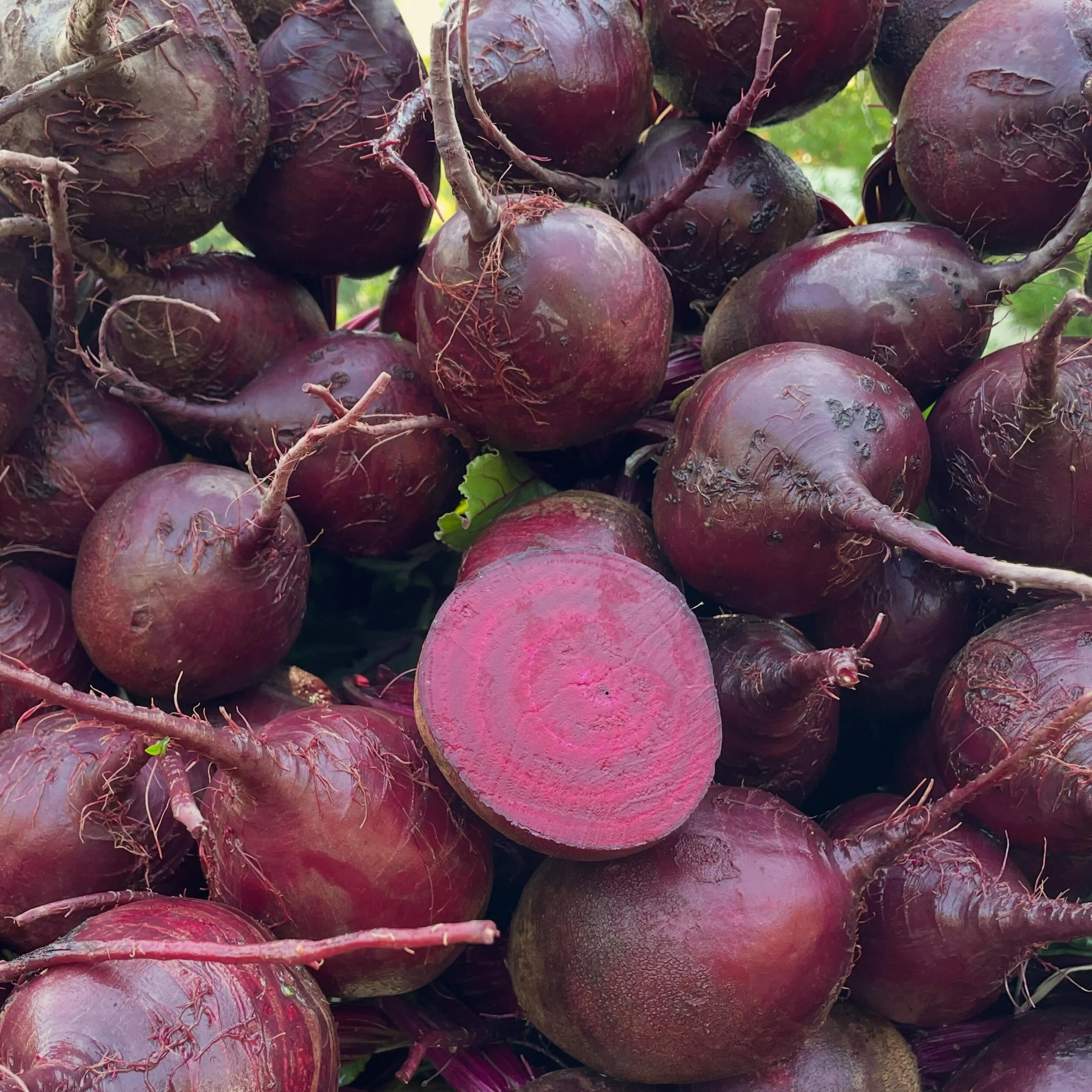 Welcome stranger! How may I help you?
Ah you are looking for a treasure from the fields.
Red, round? Sweet&hellip;nutrient dense? Ah, is it a root you are asking for? 
Very good, I believe I have what you desire. These here are beets, a sort of ruby 