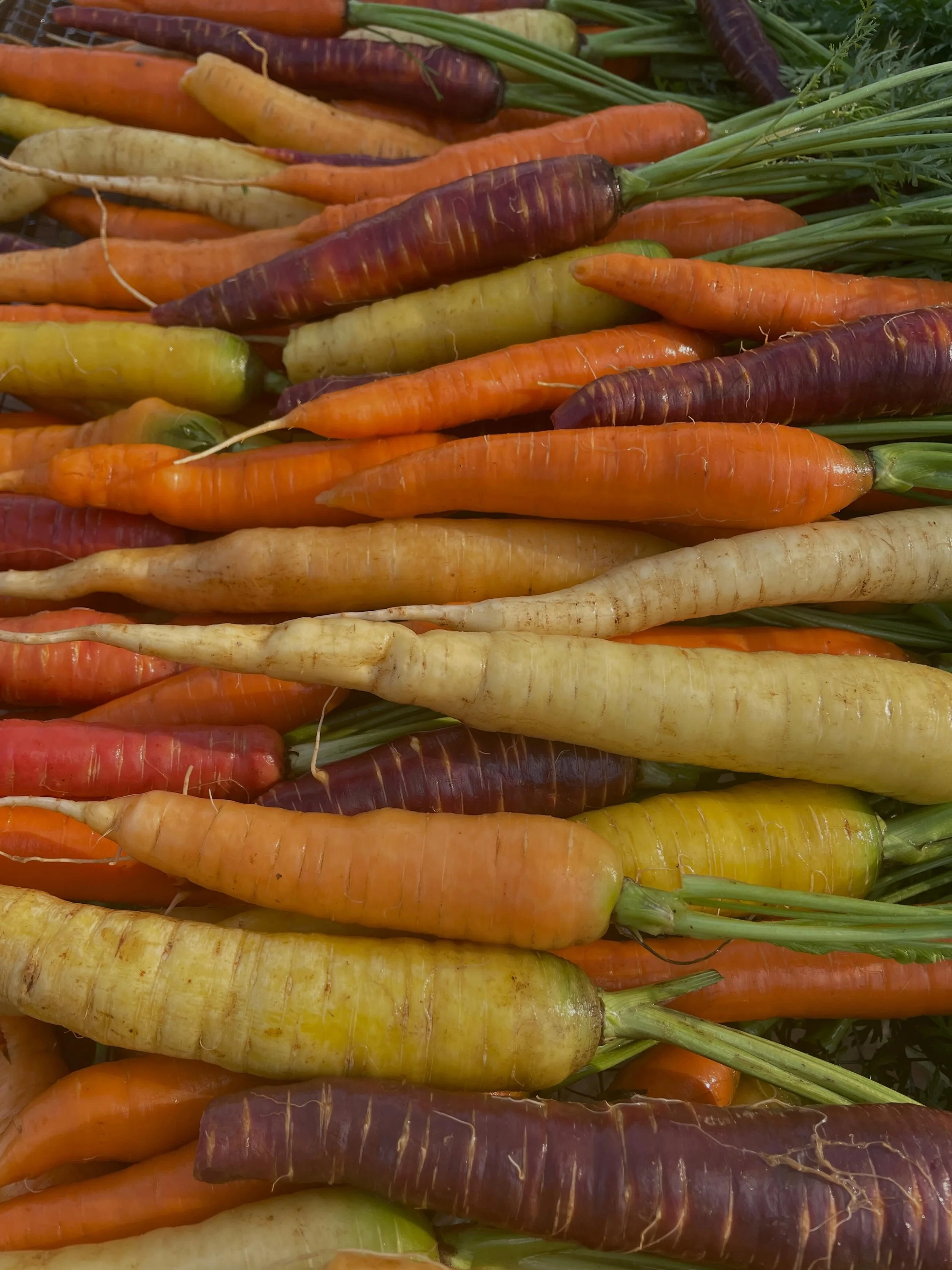Get these at @durhamfarmersmarket this Saturday!