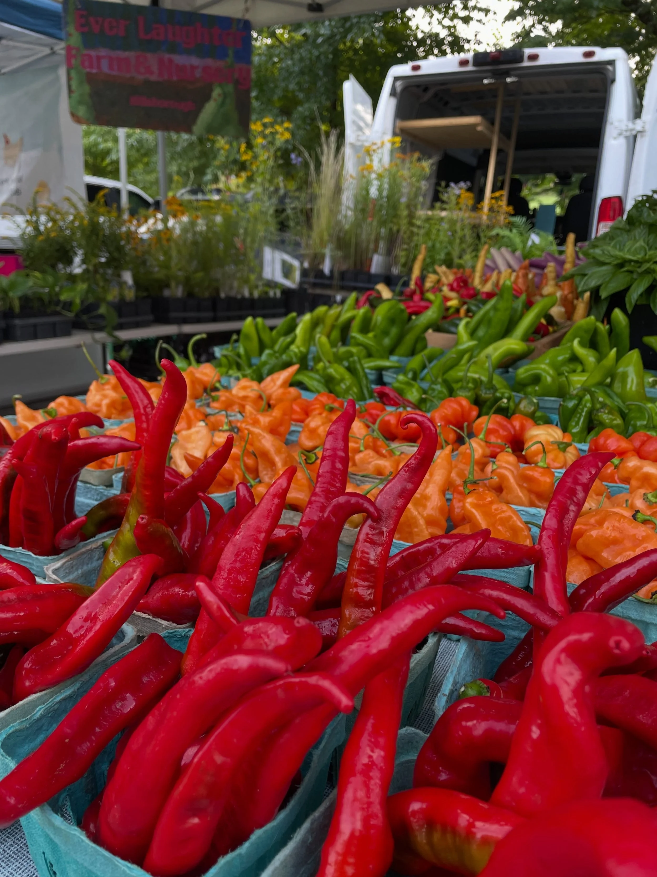 It&rsquo;s Saturday!
@durhamfarmersmarket