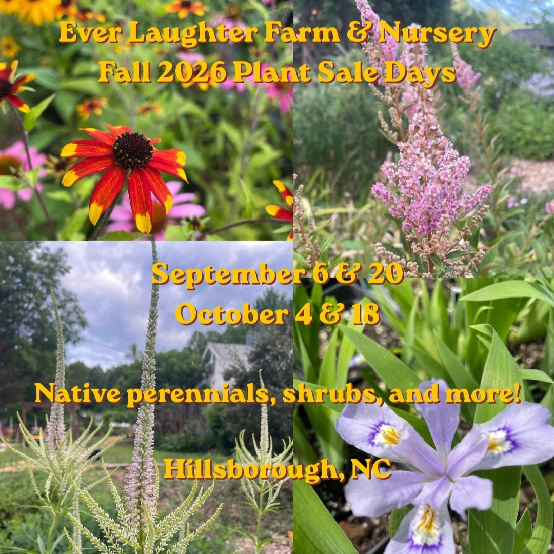 Fall is the best time to establish healthy perennials in the ground. Reduce watering needs next summer and prepare for abundant blooms!

Native plants are the backbone of a healthy ecosystem. Provide food for insects and songbirds, and enjoy a beauti