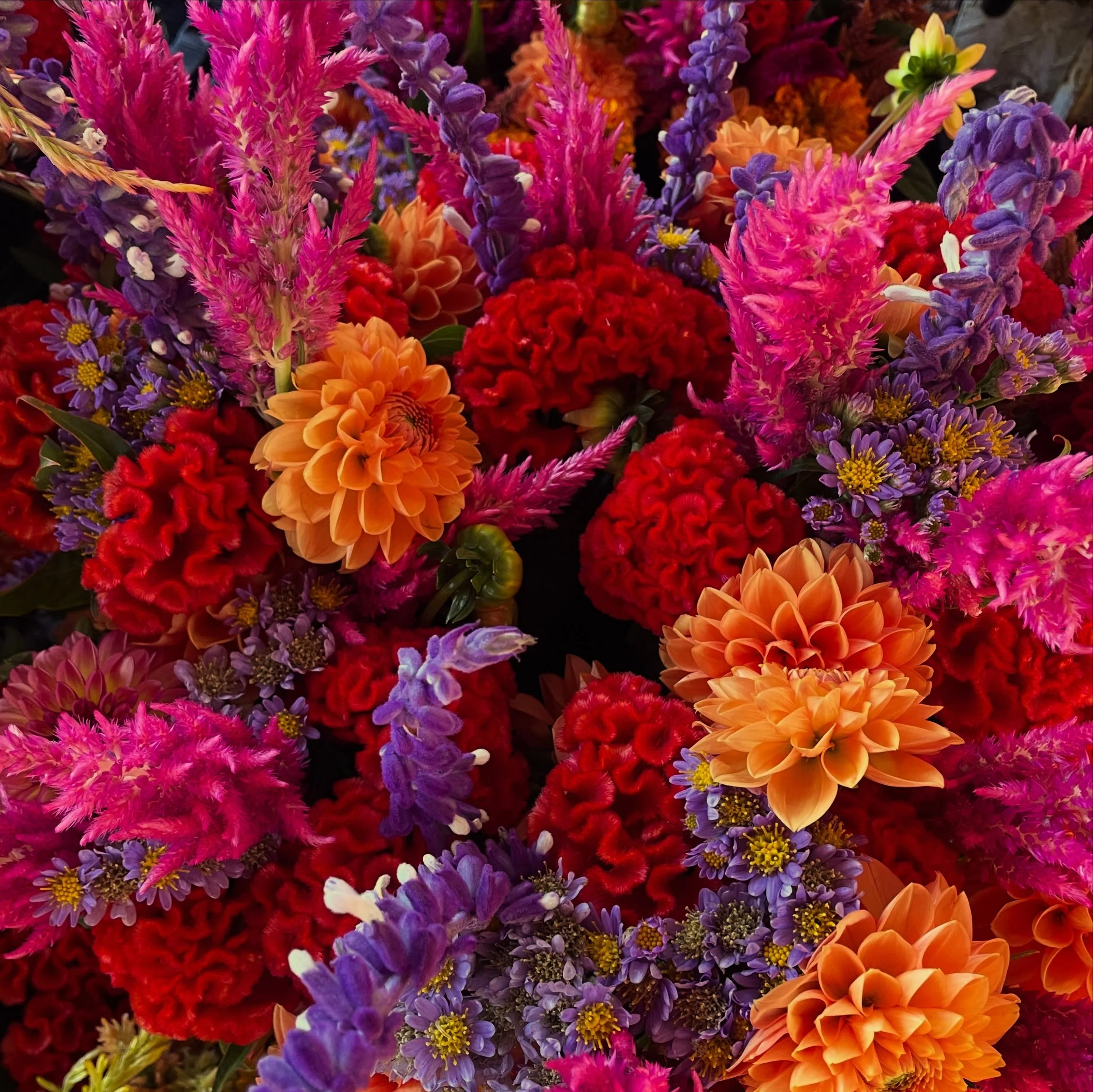 I love October flowers!
Come get these bouquets at @durhamfarmersmarket this Saturday morning!

It&rsquo;s hard to say this when it is nearly 90, but now is time to stock up on the last of the summer heat!
Our hot peppers are peaking and will slow do