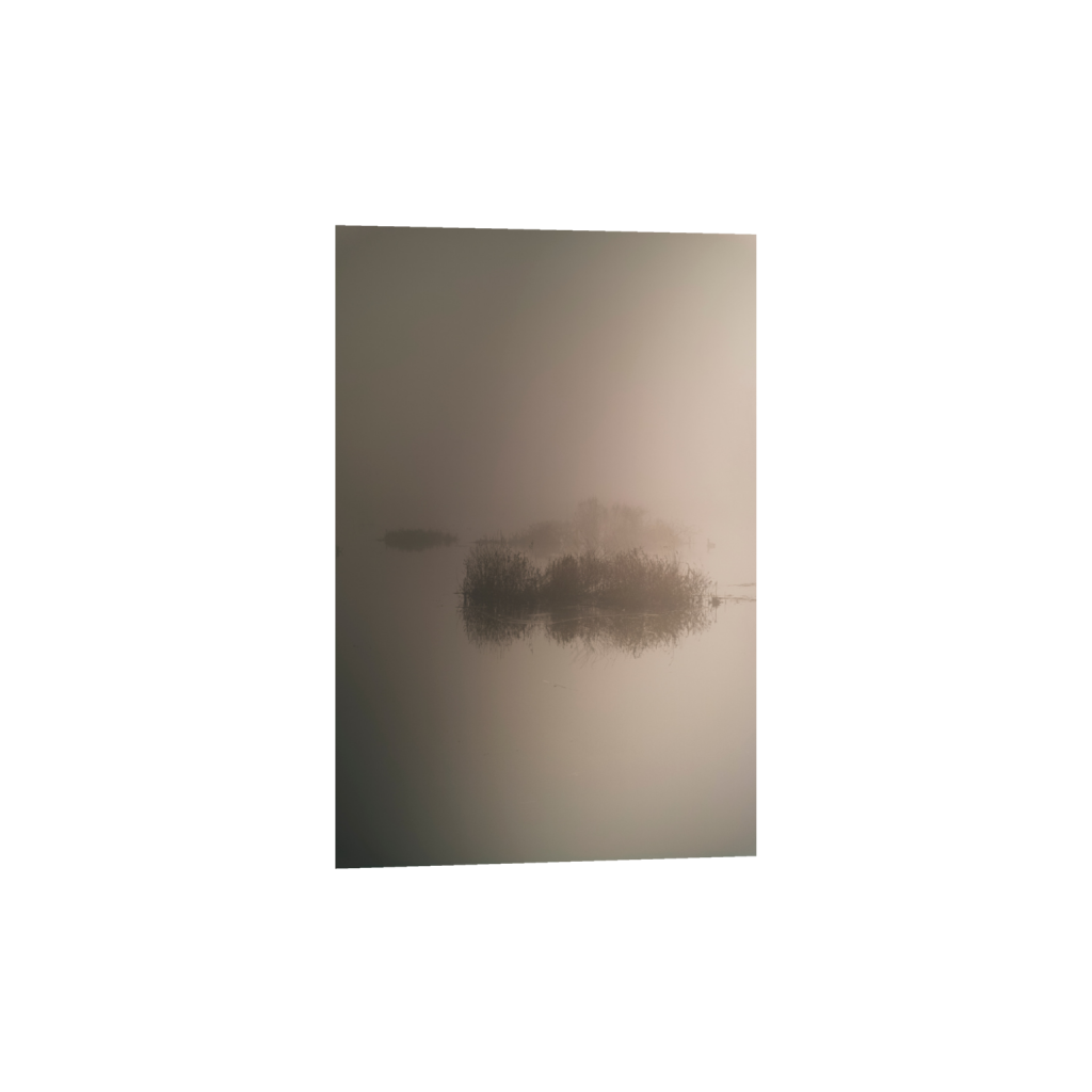 ptq_1_3_0_0_3136_4704_0_false_ffffff_0_0_.png