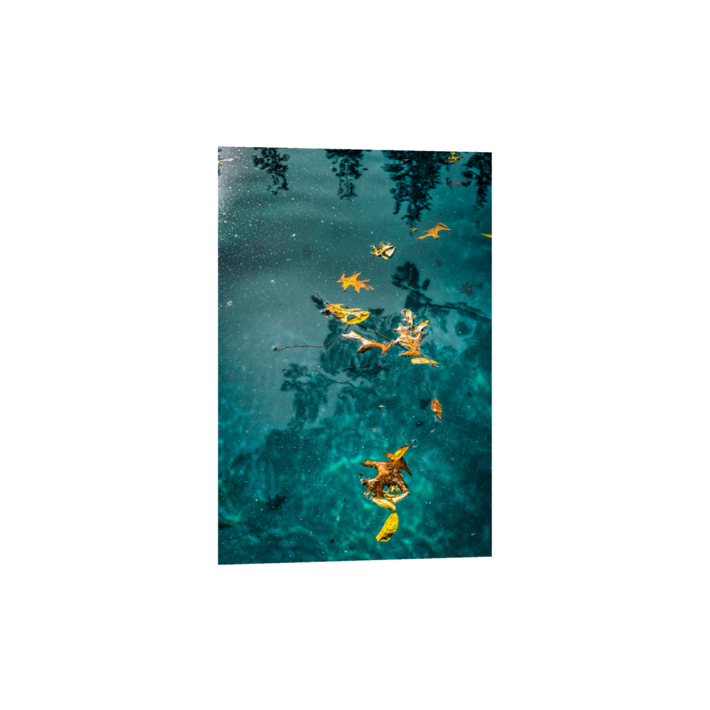ptq_1_3_0_0_3136_4704_0_false_ffffff_0_0_.png