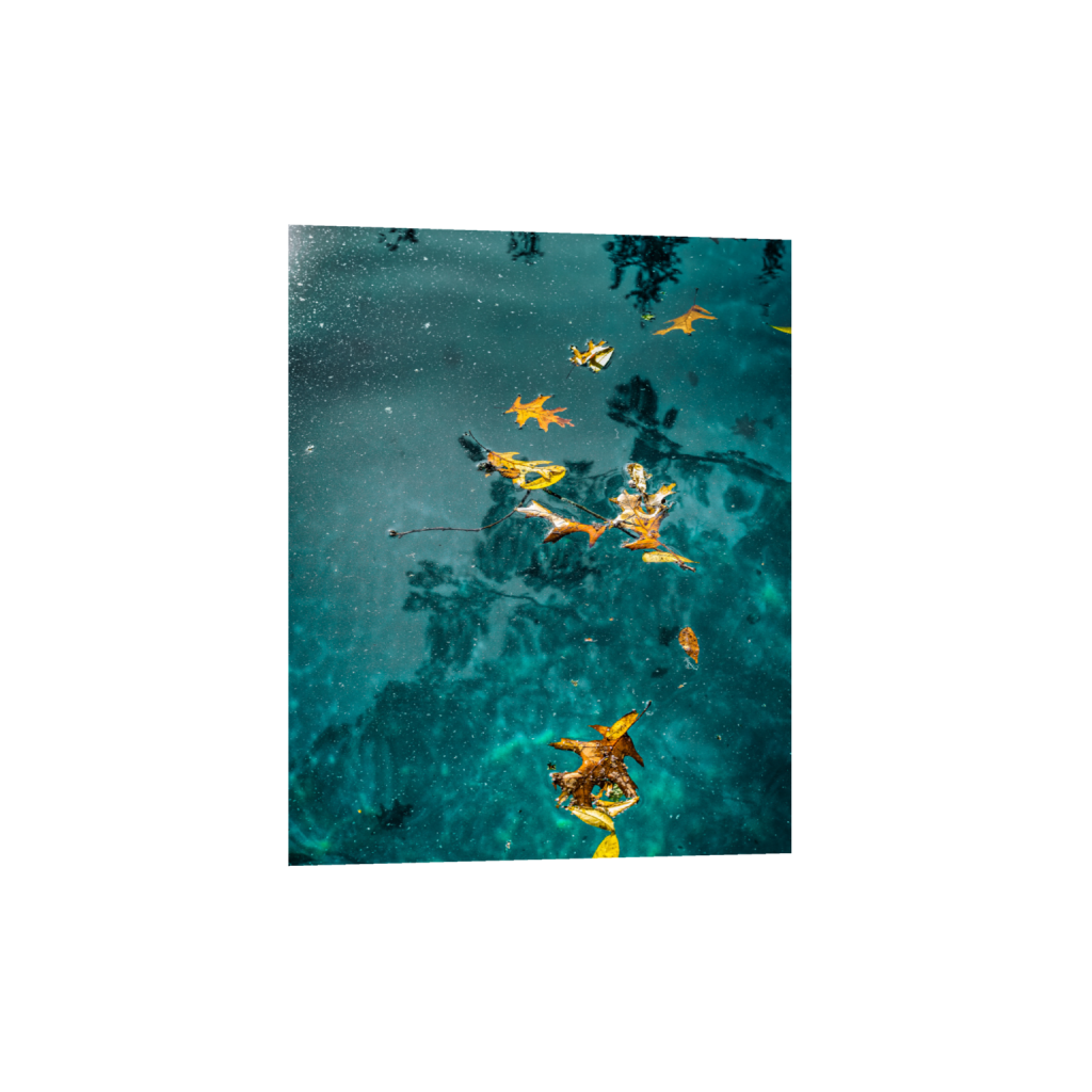 ptq_1_6_0_392_3136_3920_0_false_ffffff_0_0_.png