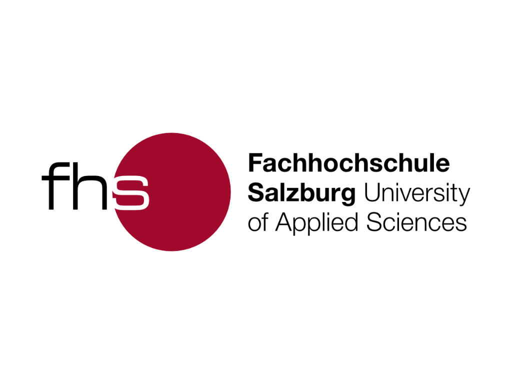 Playability Partner und Kunden - FH Salzburg