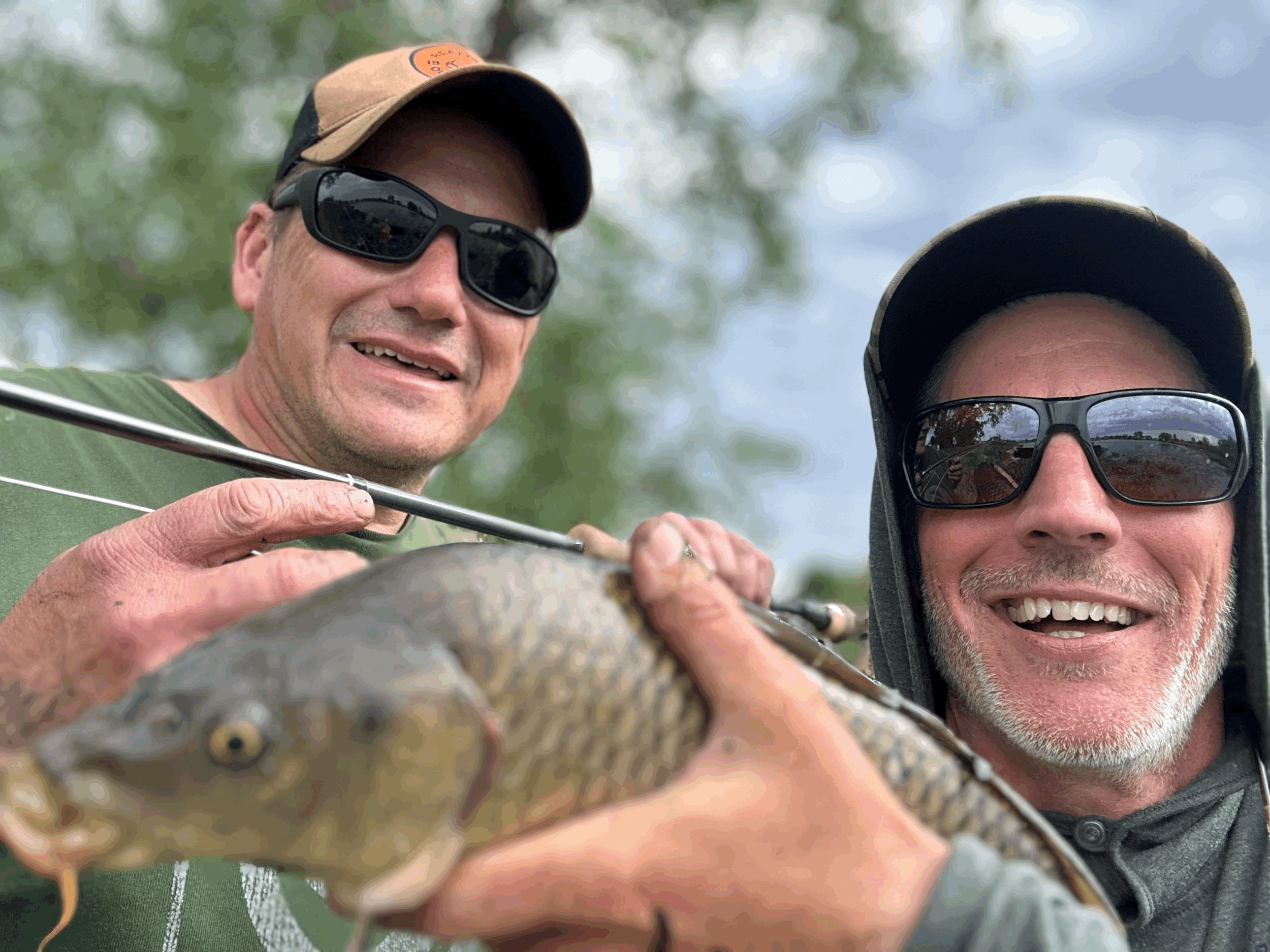 Carp School