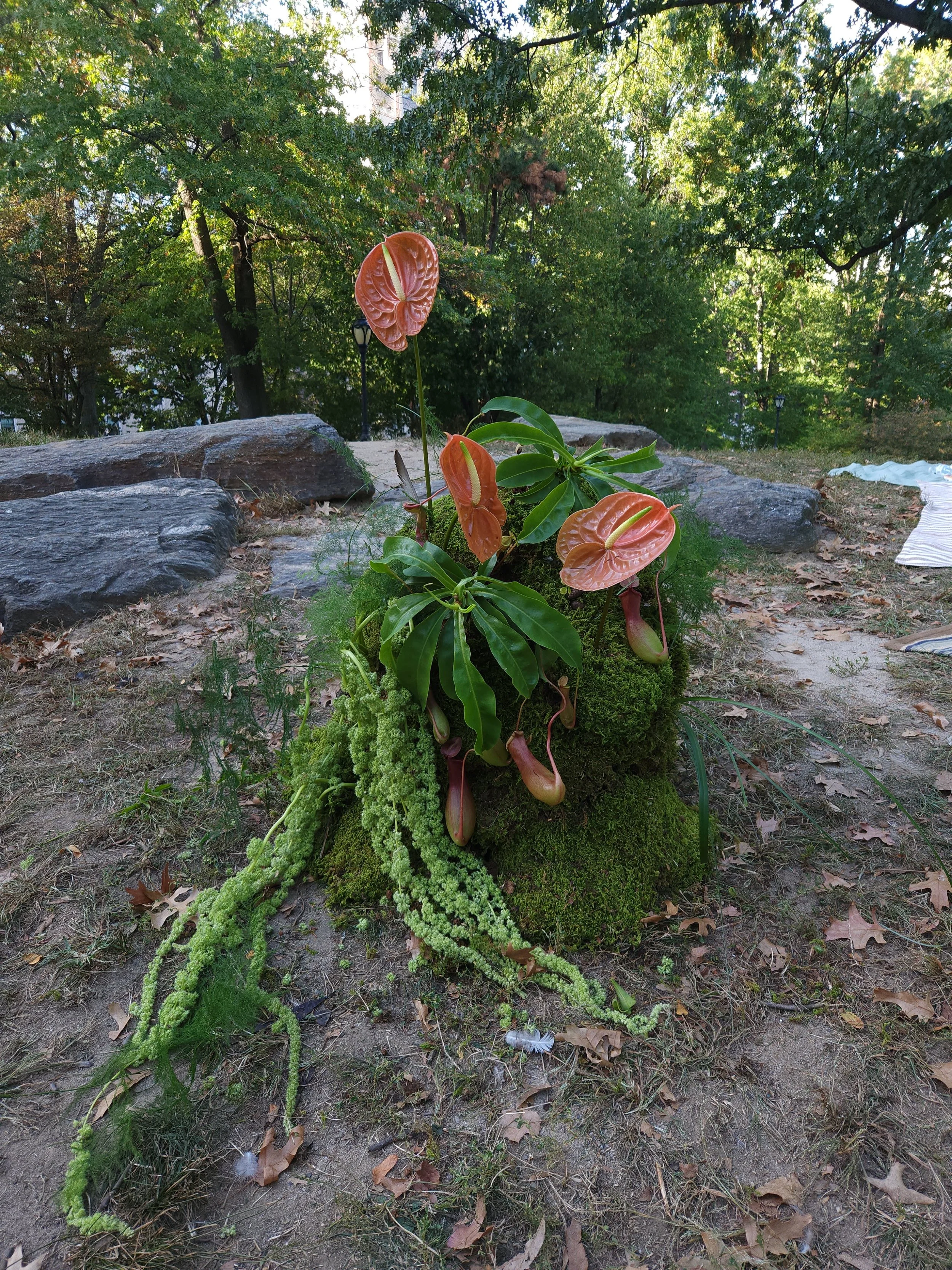 20251004_164022 (1).jpg