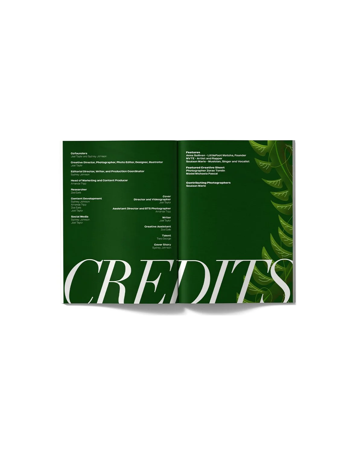 creditsmockup.jpg