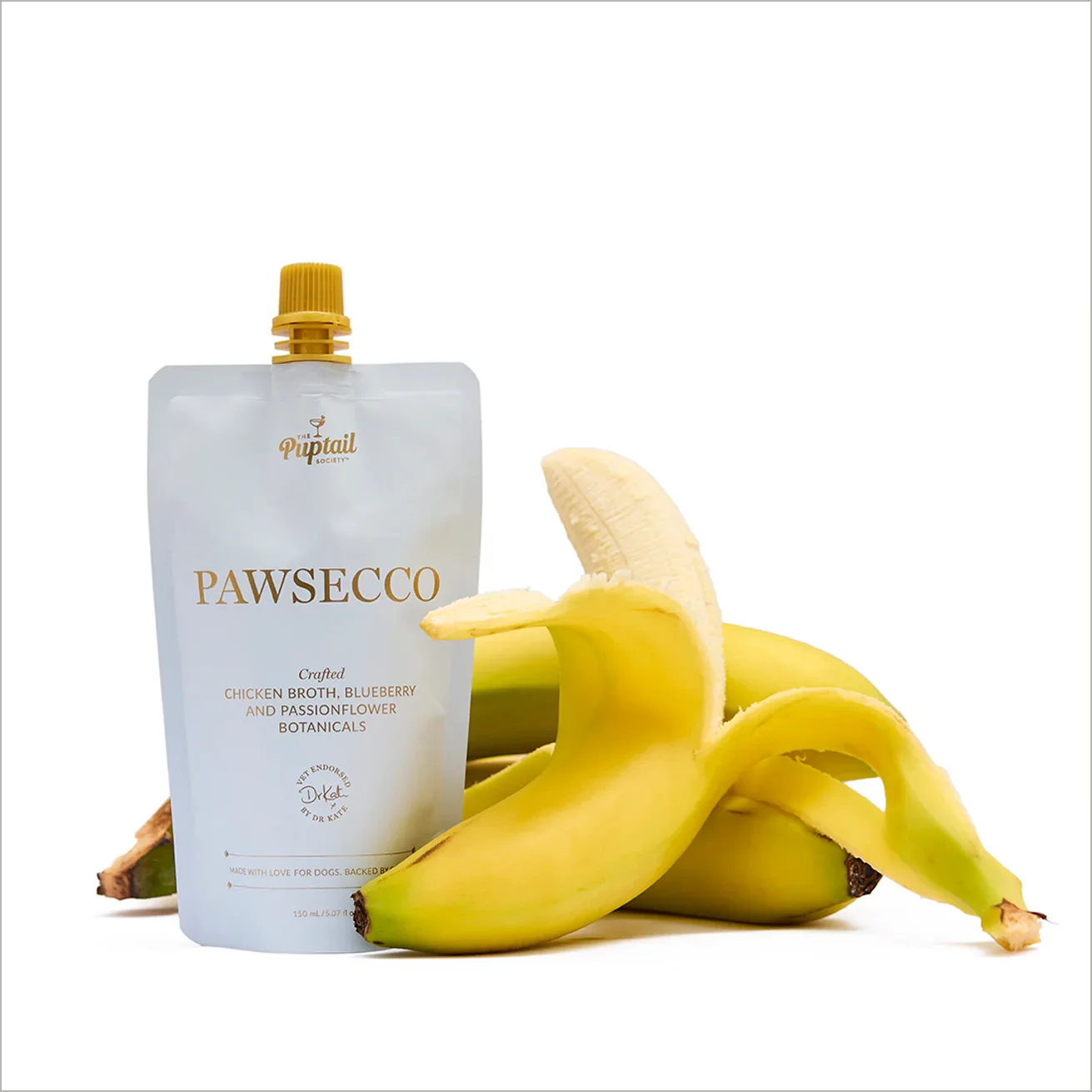puptails_pawsecco_single_front__fruit_web_0221_a801b8d5-91b3-448b-9cbf-78458319a4d9_3000x3000.jpg.webp