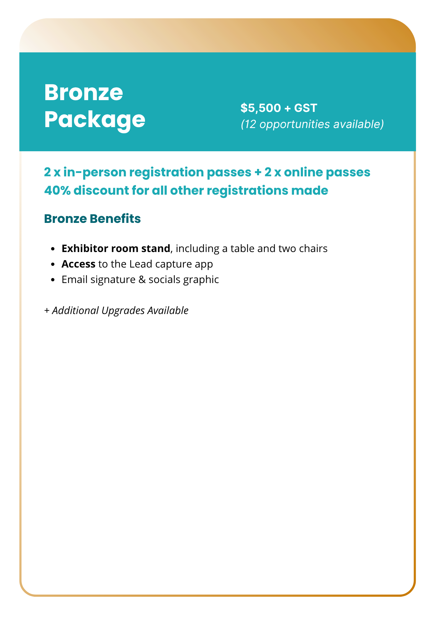 Bronze Package Column.png