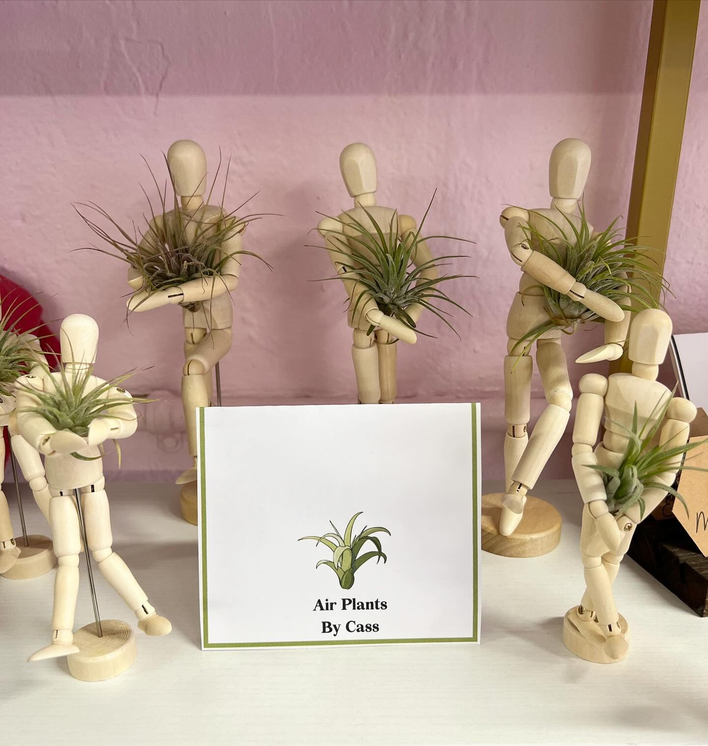 Just arrived today to our Sylva store are these adorable poseable air plant figures. So cute! 🌱