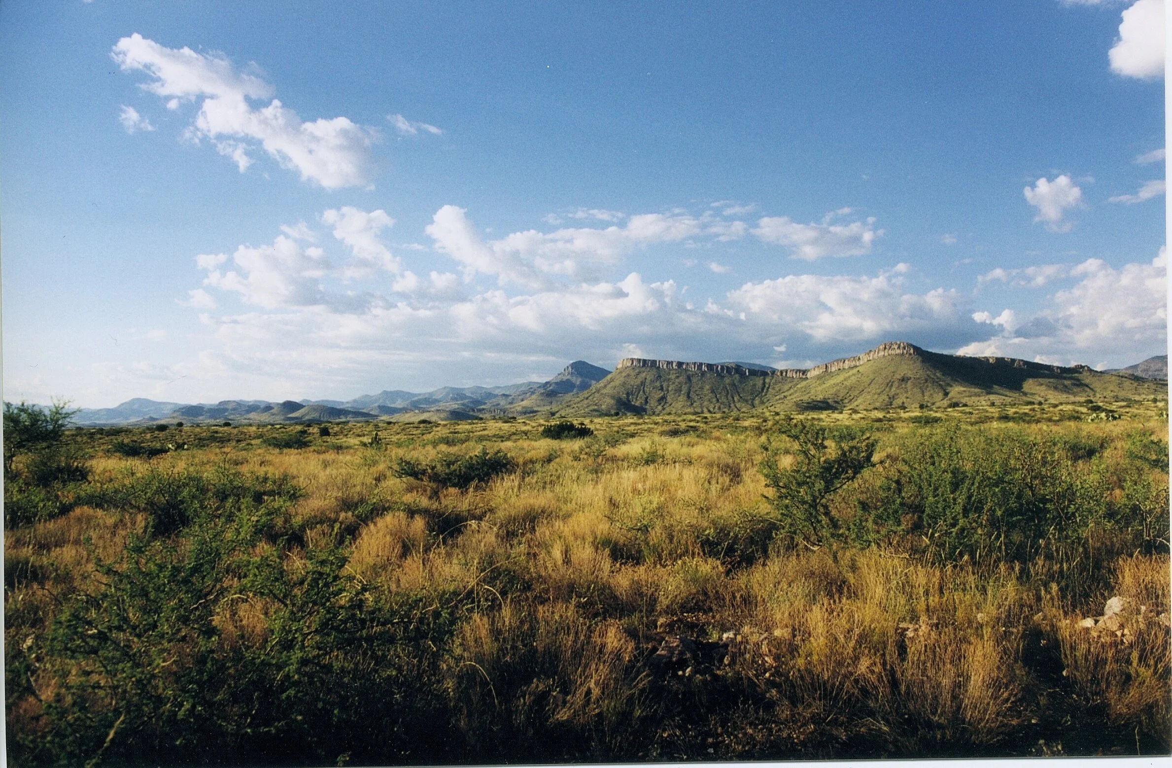 Our Purpose — Iron Knot Ranch