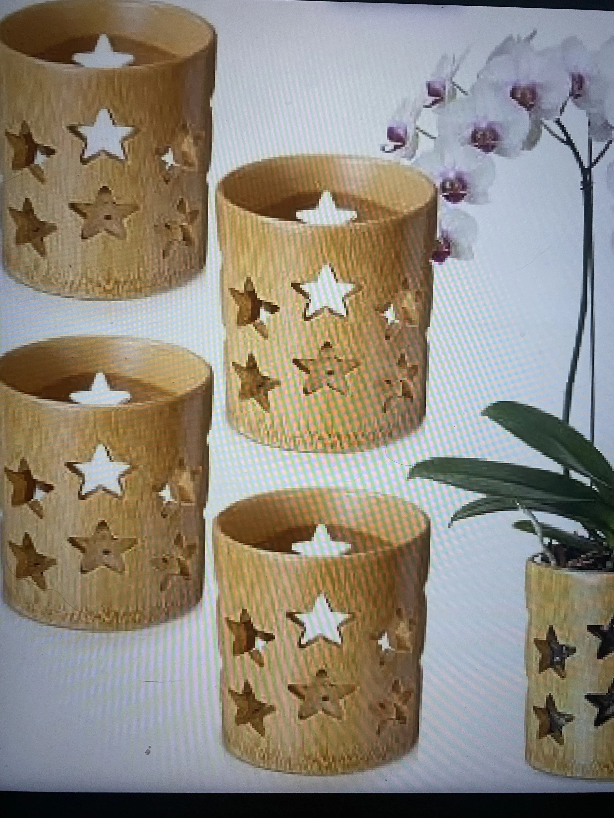 Bamboo Plant Pots Breathable for Orchids