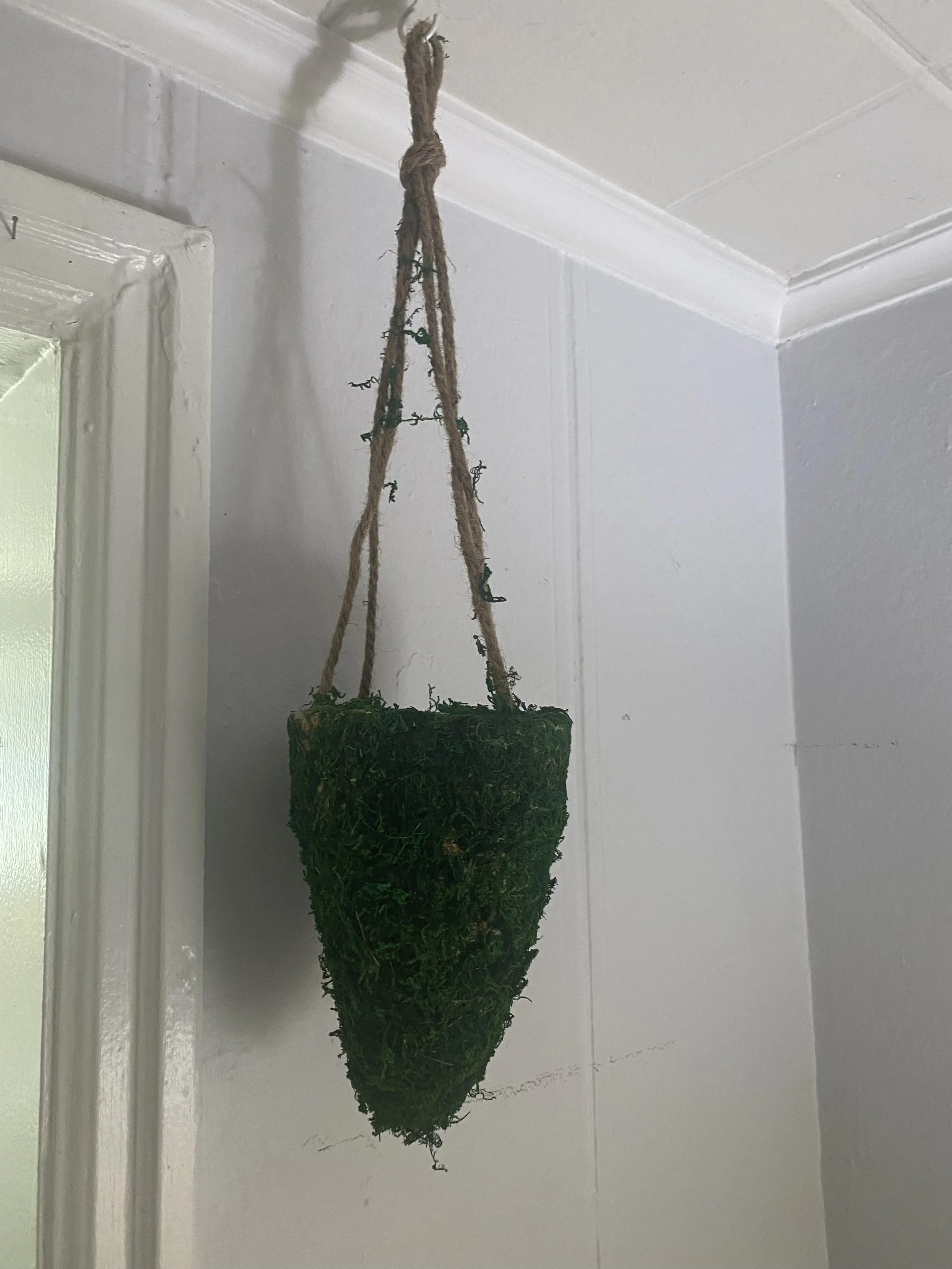 Natural Moss Hanging Wicker Basket