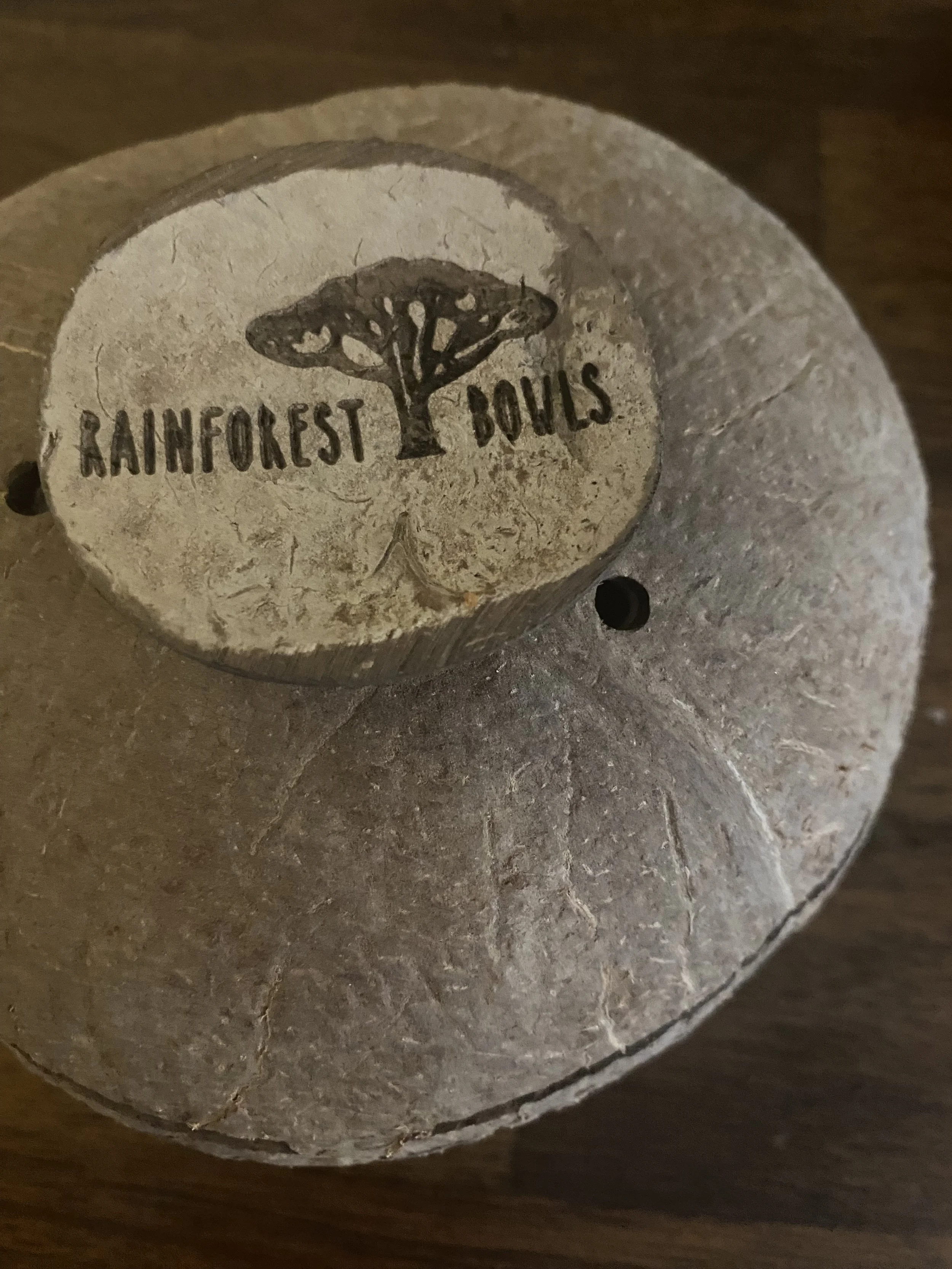 Rainforest-pots.jpeg