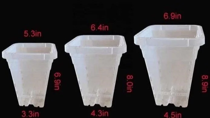 Three sizes for orchid pots, easy viewing for your orchid roots