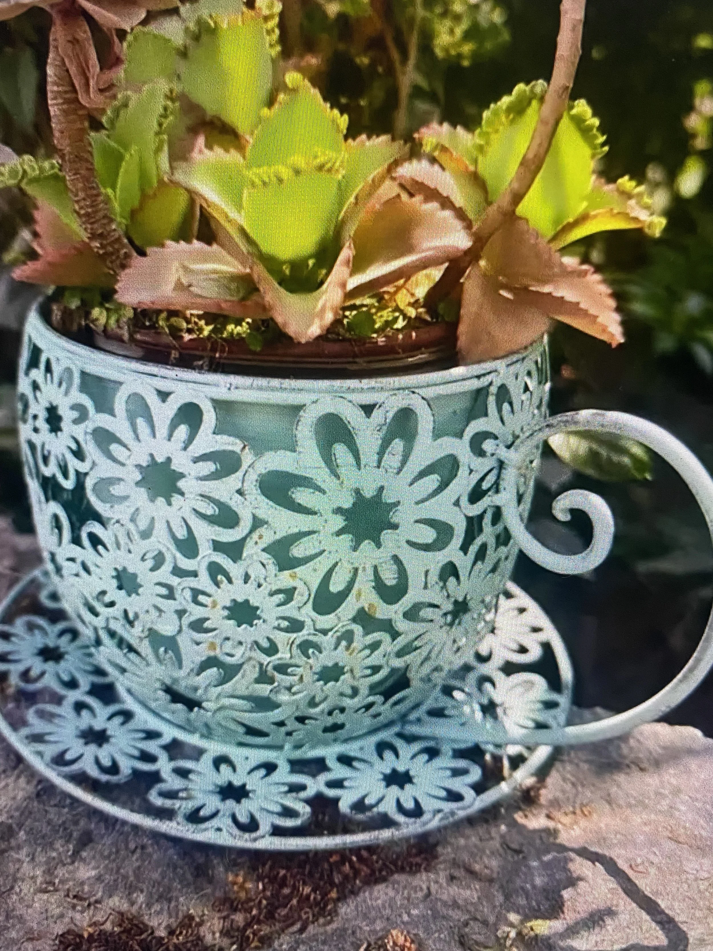Rustic Iron Tea Cup Pot