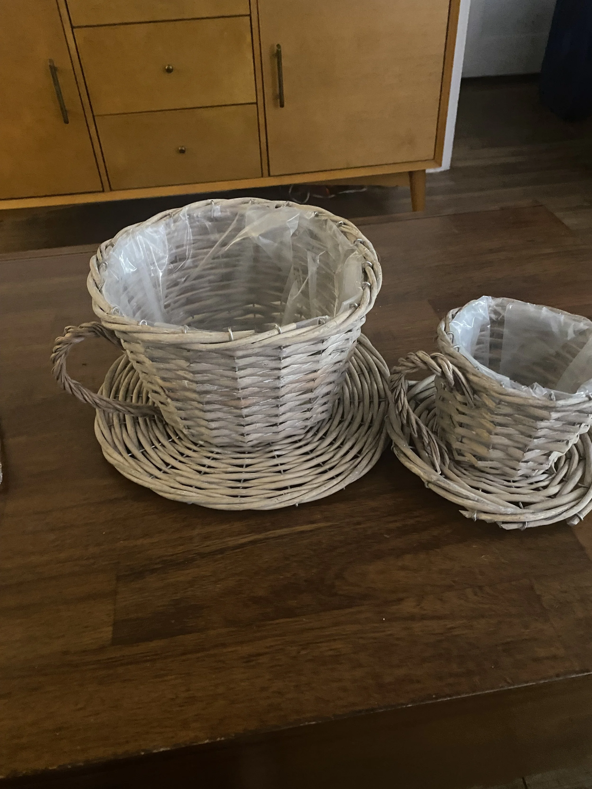 Willow-teacups-for-orchid-pots.jpeg