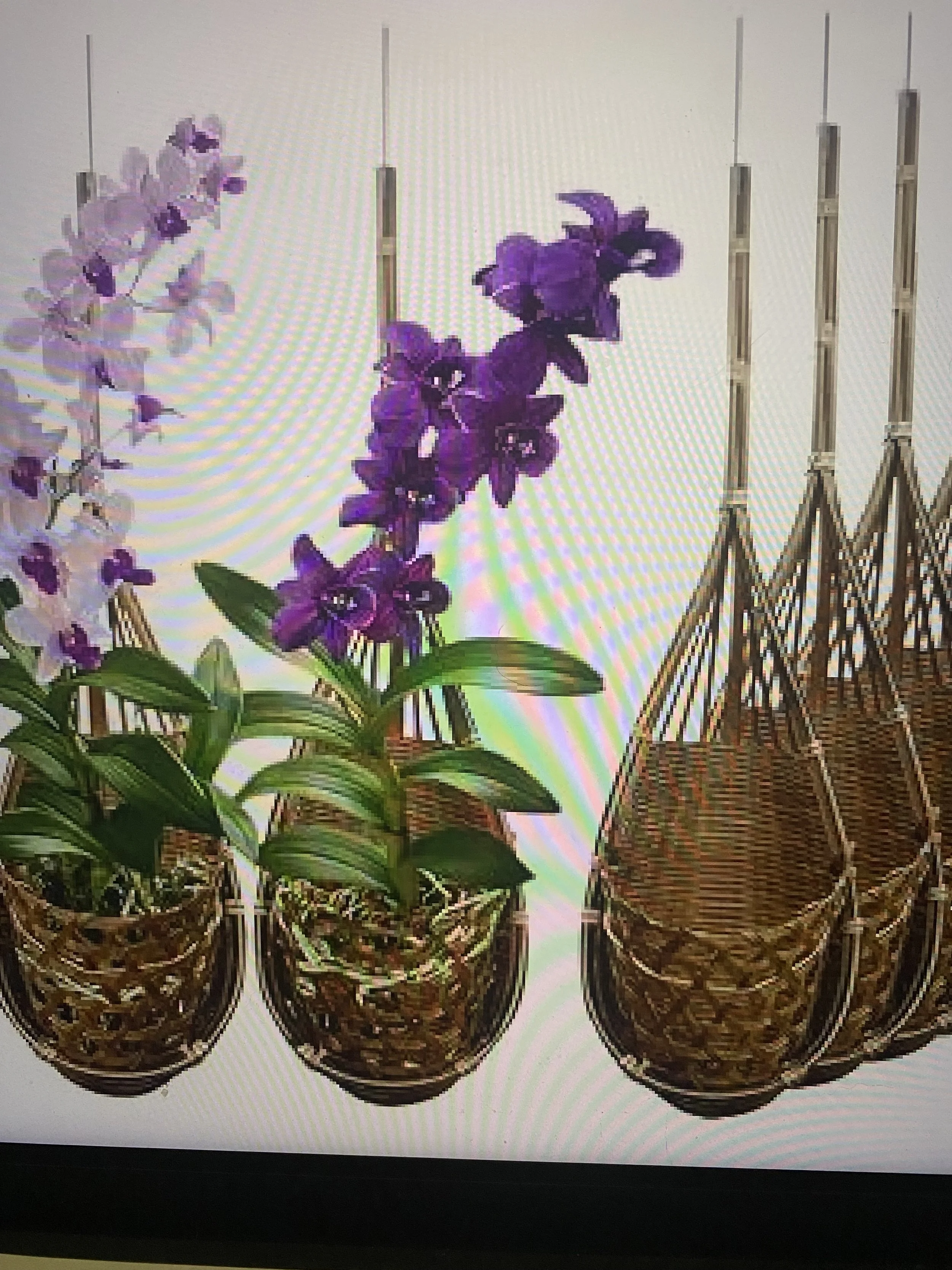 Thai Bamboo Hanging Basket
