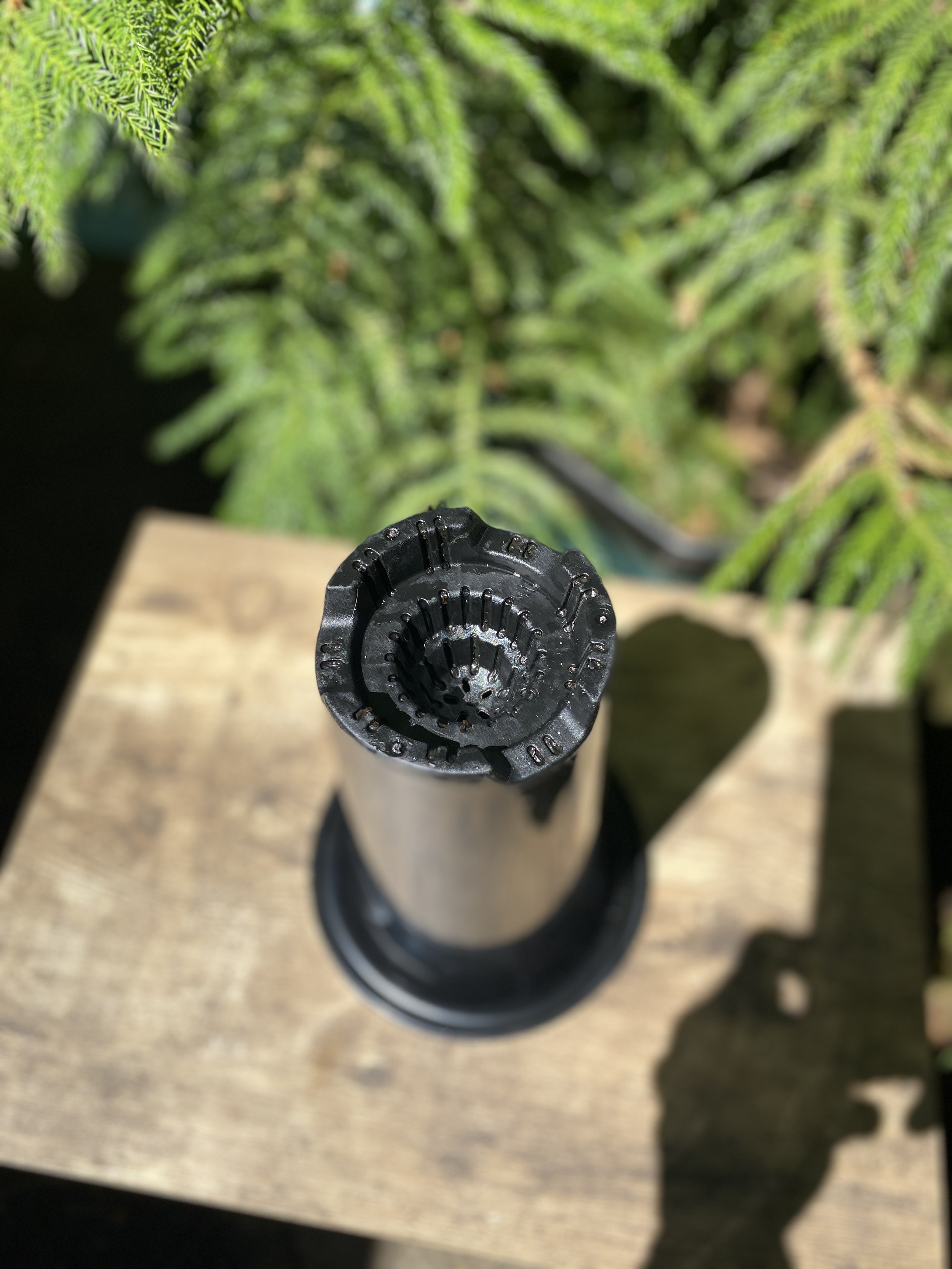 IMG_0416.jpeg