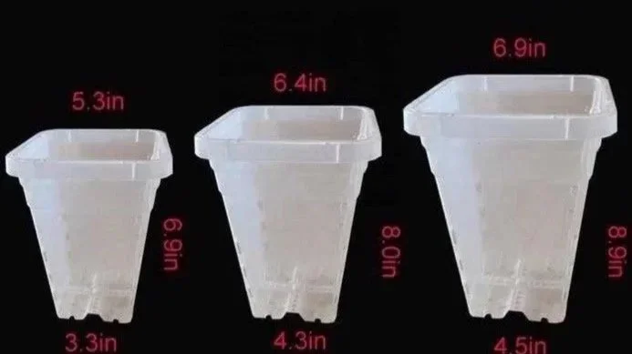 Square Plastic Pots in Three Sizes