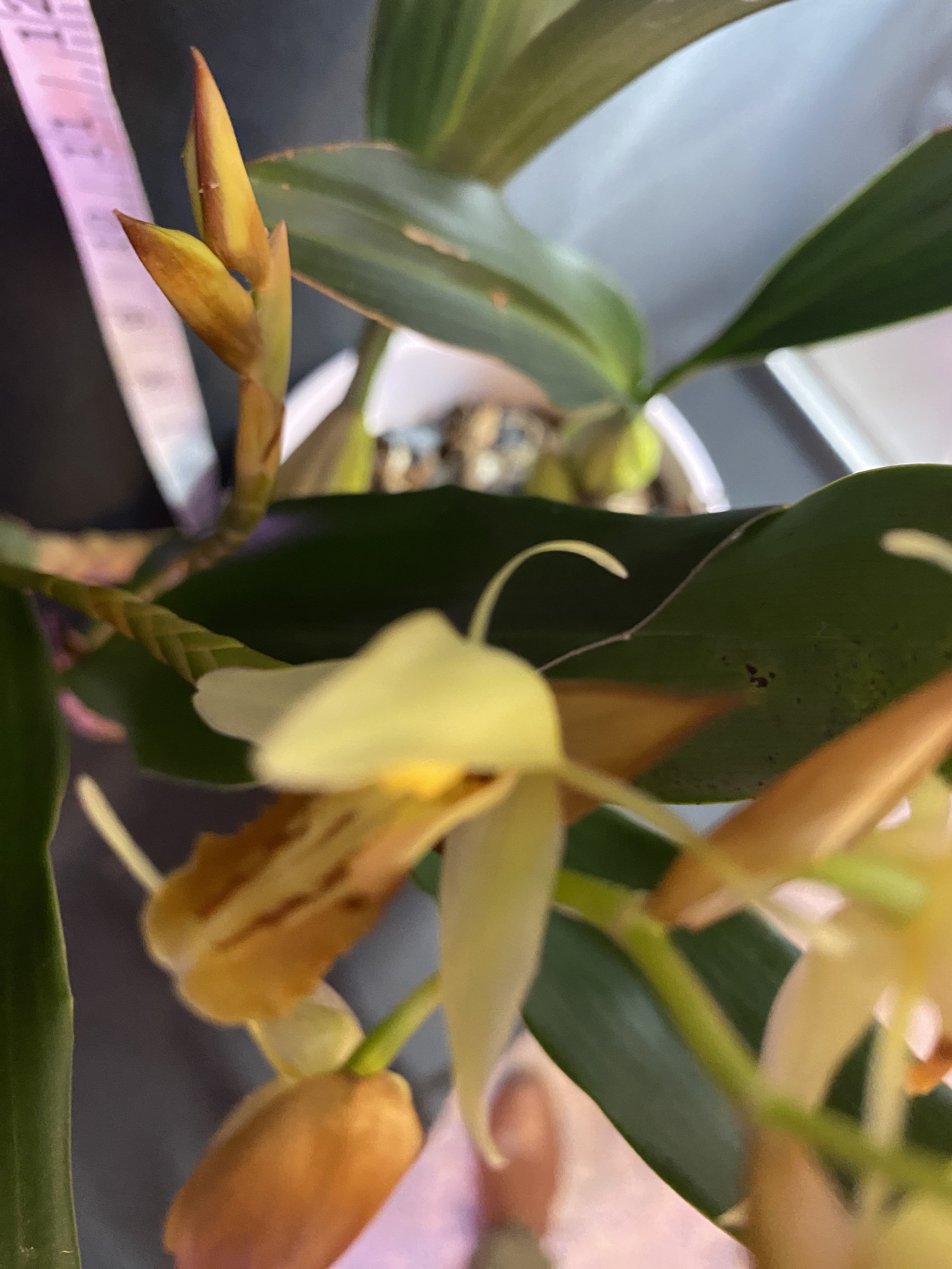 IMG_0110.jpeg