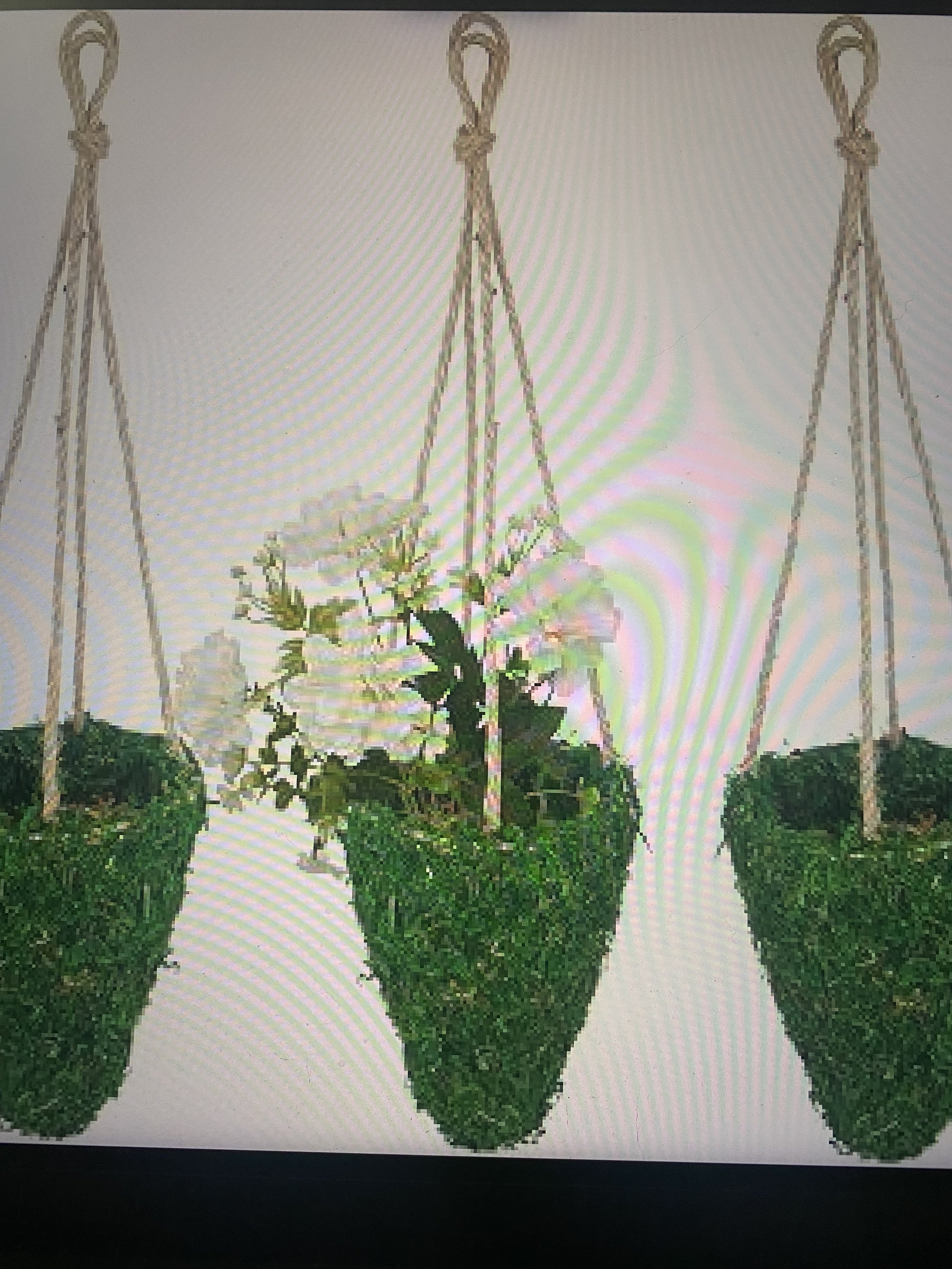 Natural Moss Hanging Wicker Basket